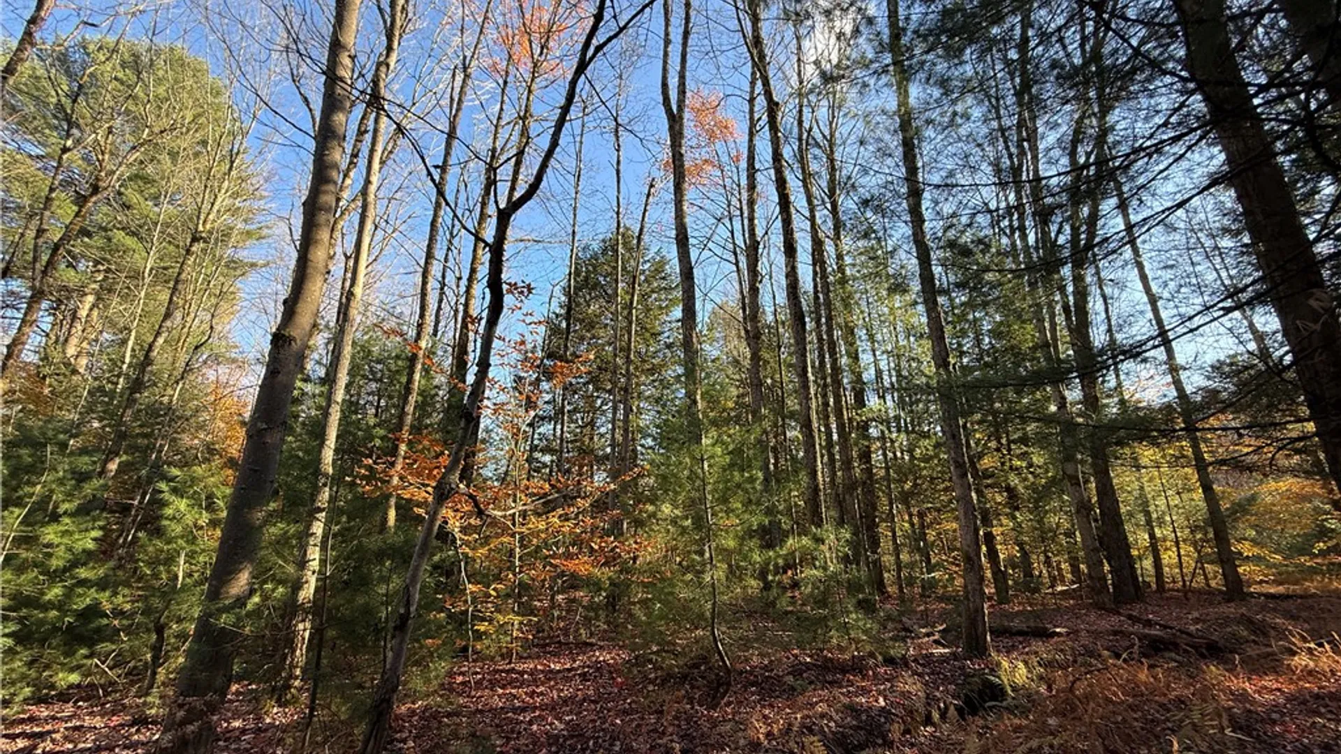 Property at Co Rt 23, Constantia, NY 13044 6