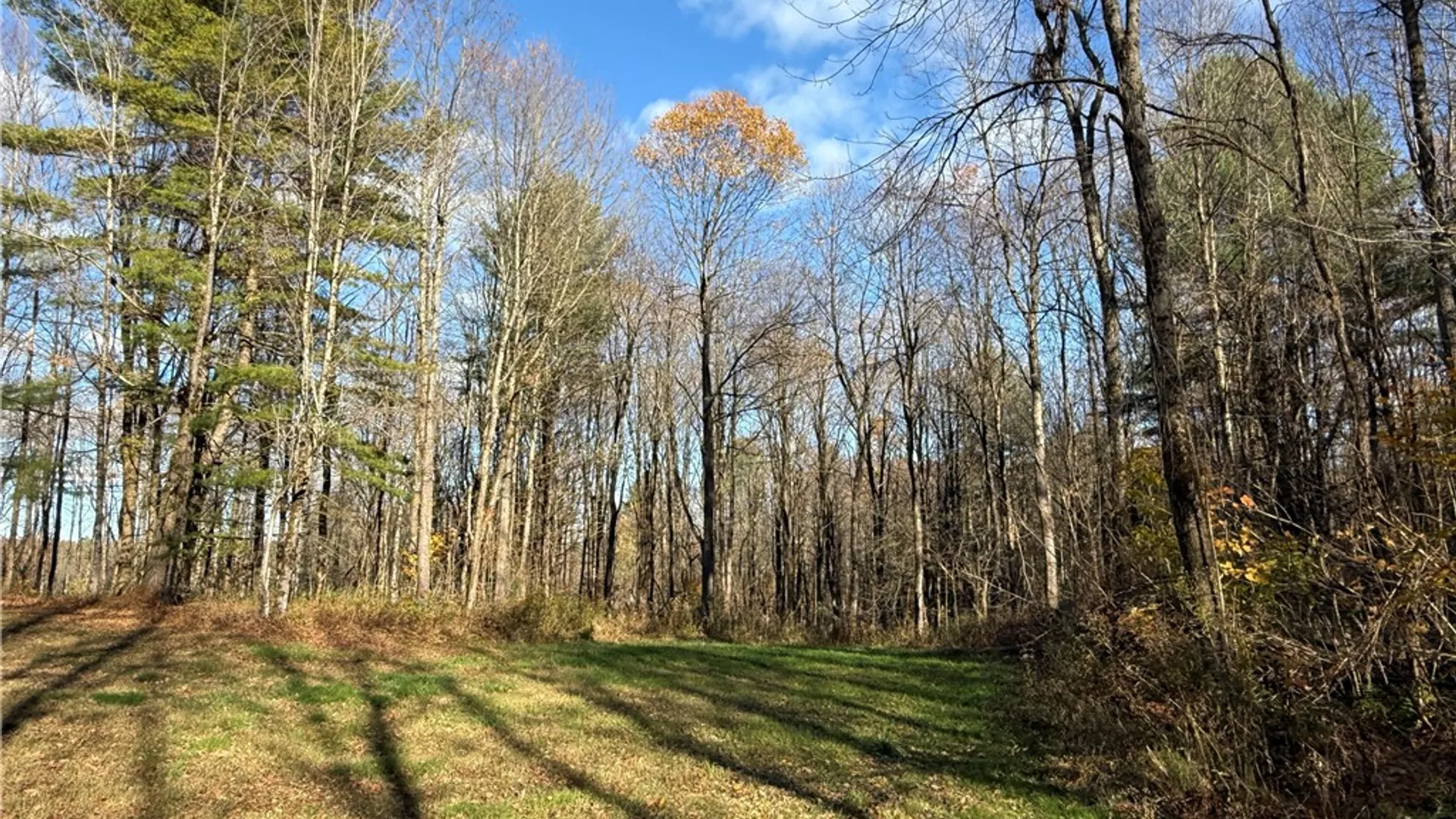 Property at Co Rt 23, Constantia, NY 13044 7