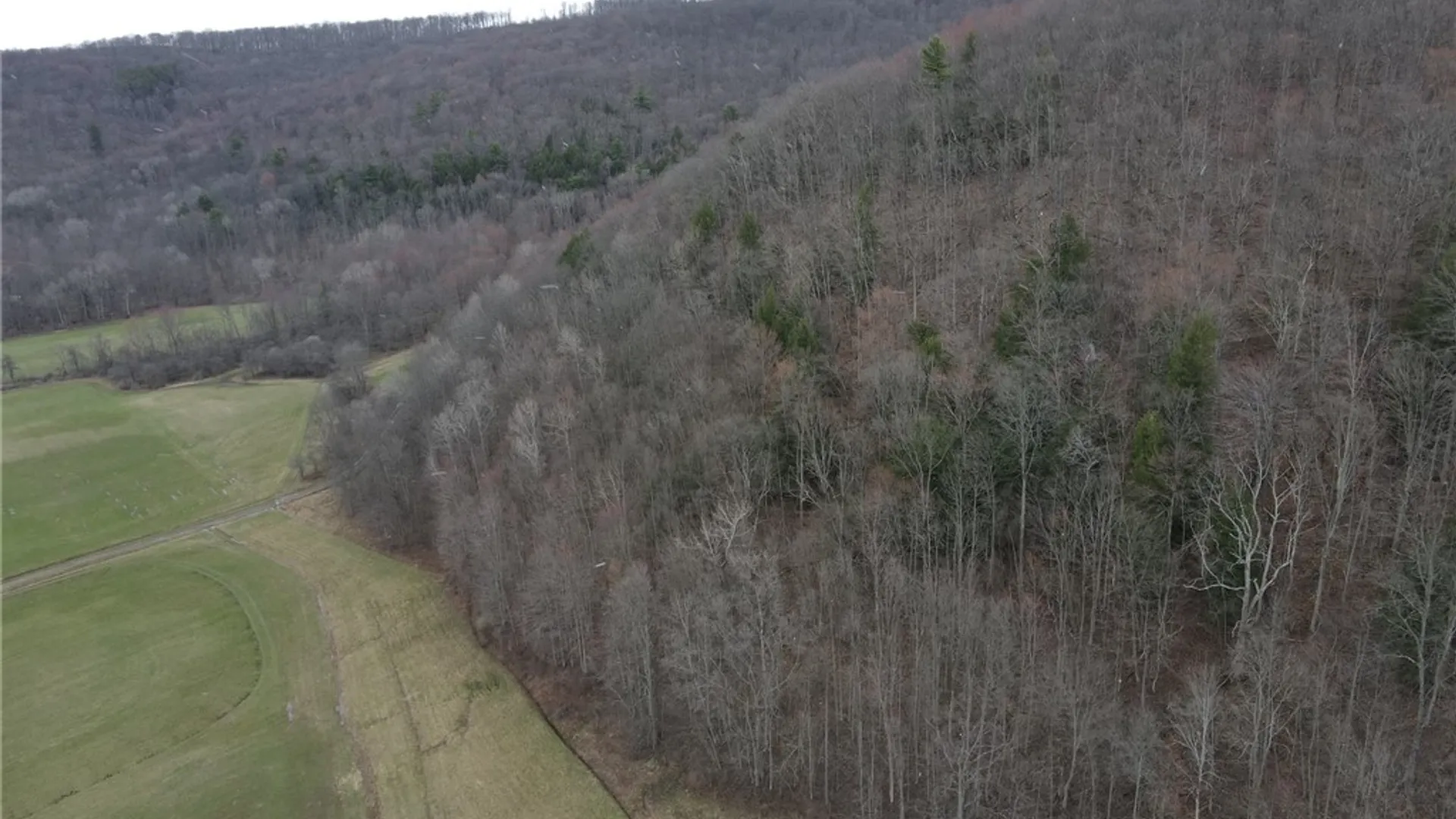 Property at 4444 Route 353, Salamanca, NY 14779 42