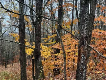 Property at 16 Silver Mine Road, Blenheim, NY 12093