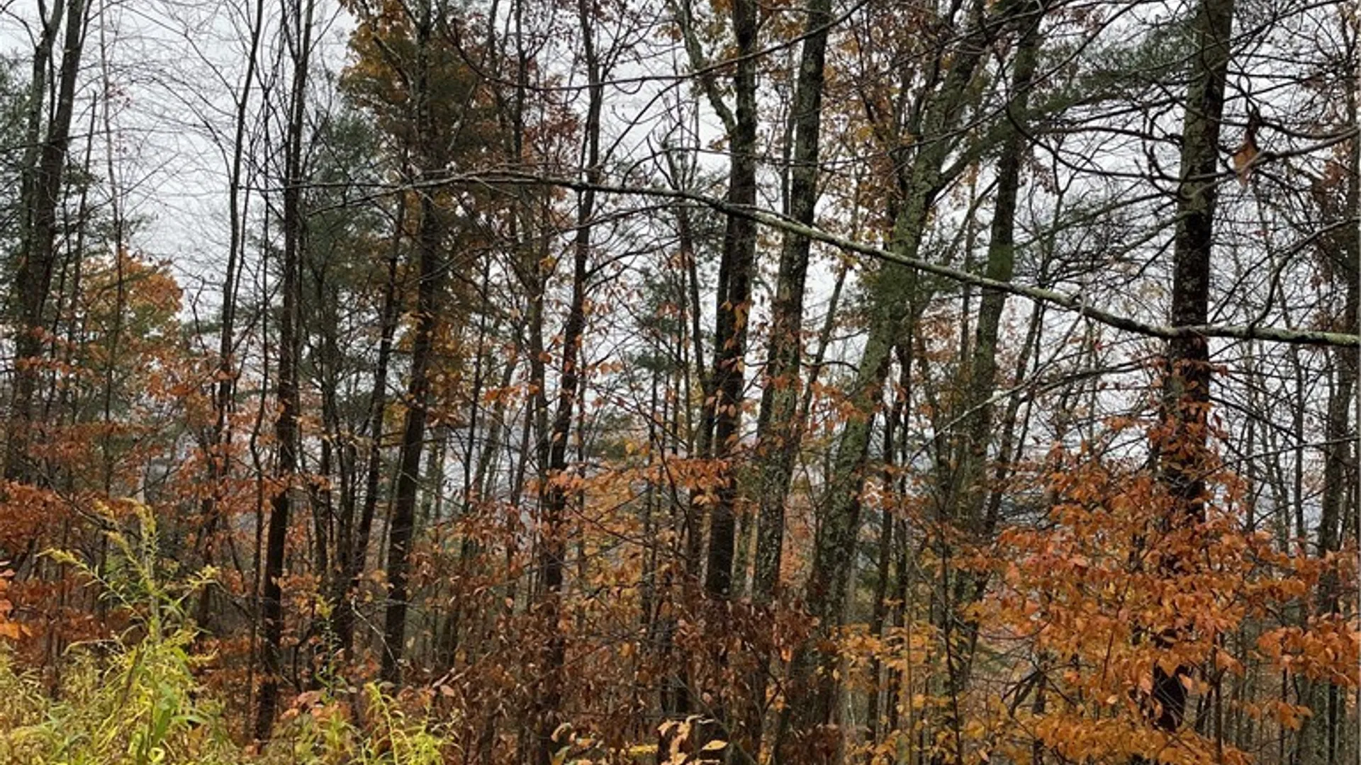 Property at 16 Silver Mine Road, Blenheim, NY 12093 2