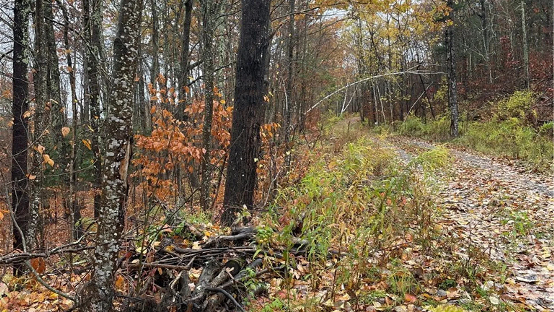 Property at 16 Silver Mine Road, Blenheim, NY 12093 4