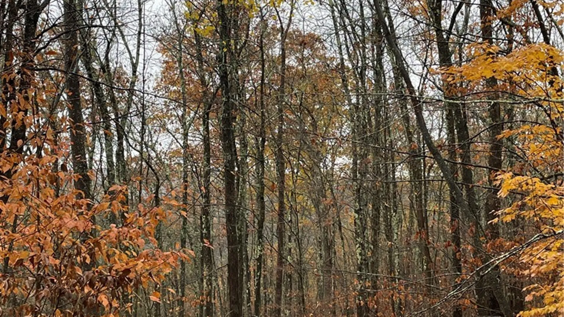 Property at 16 Silver Mine Road, Blenheim, NY 12093 6