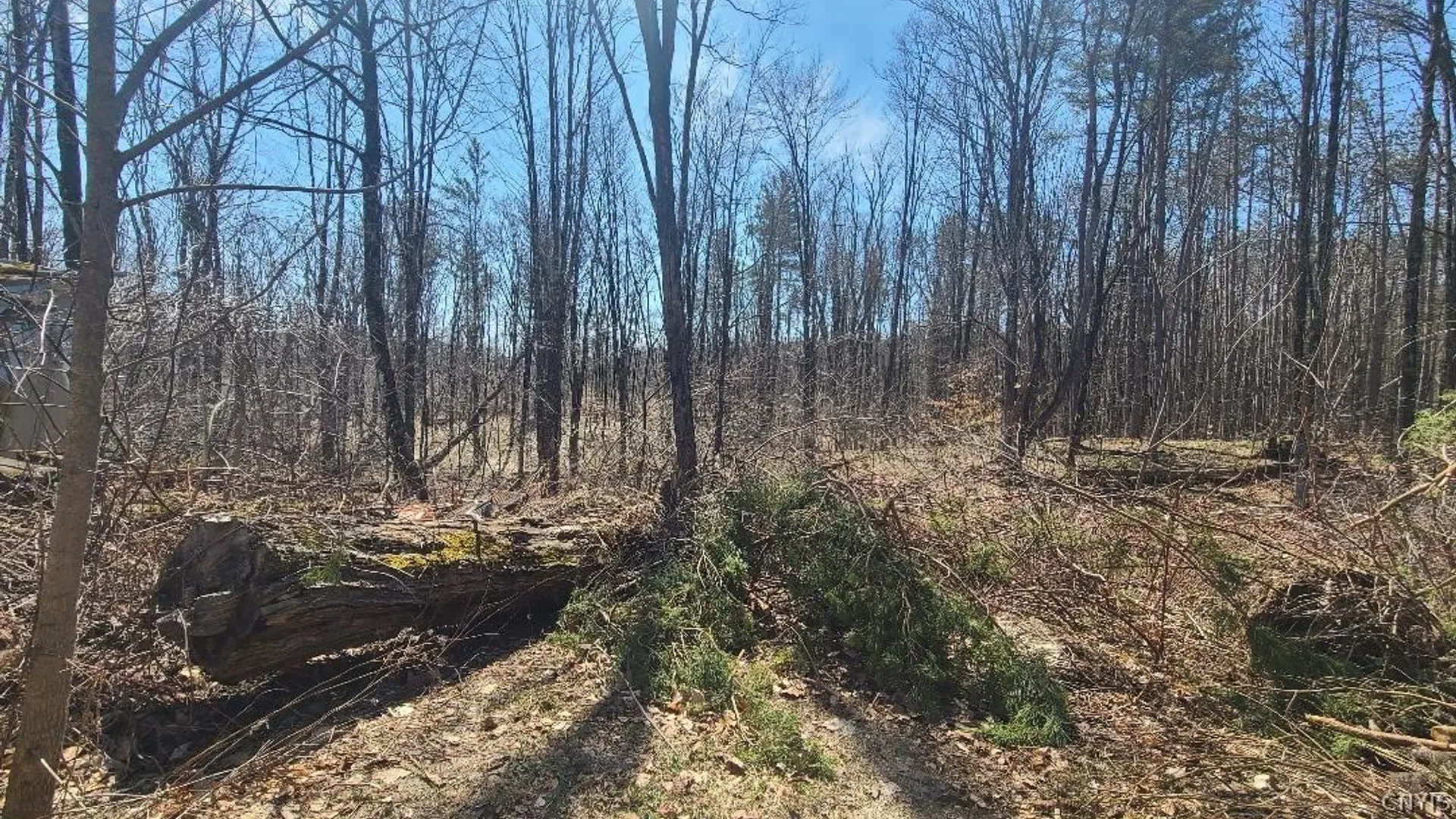 Property at 2218 State Route 29, Salisbury, NY 13329 24