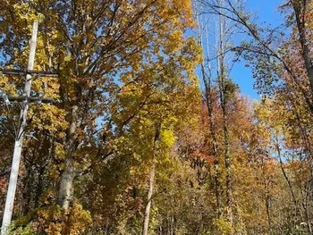 Property at 11th Street, Fulton, NY 13069