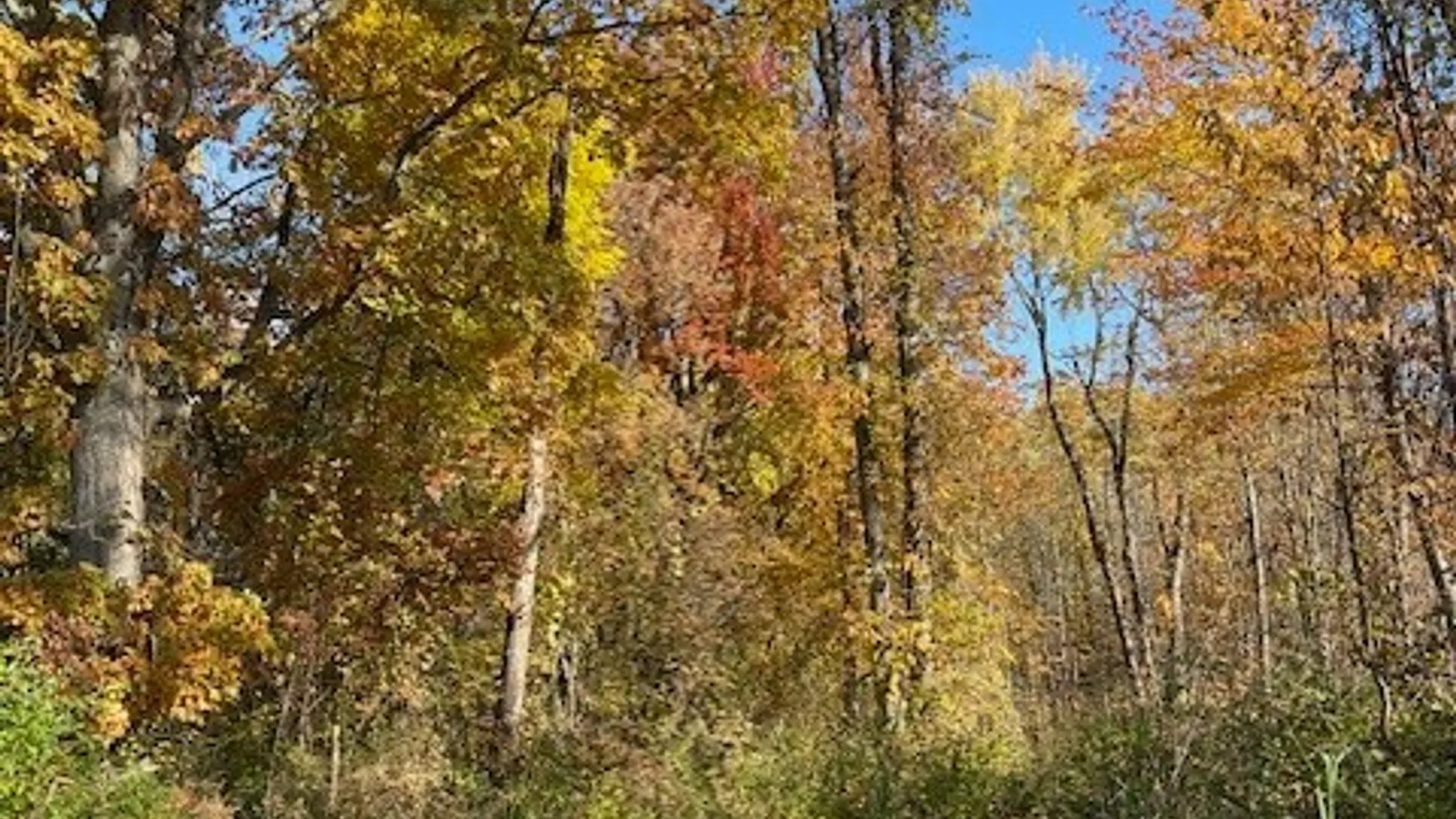 Property at 11th Street, Fulton, NY 13069 2