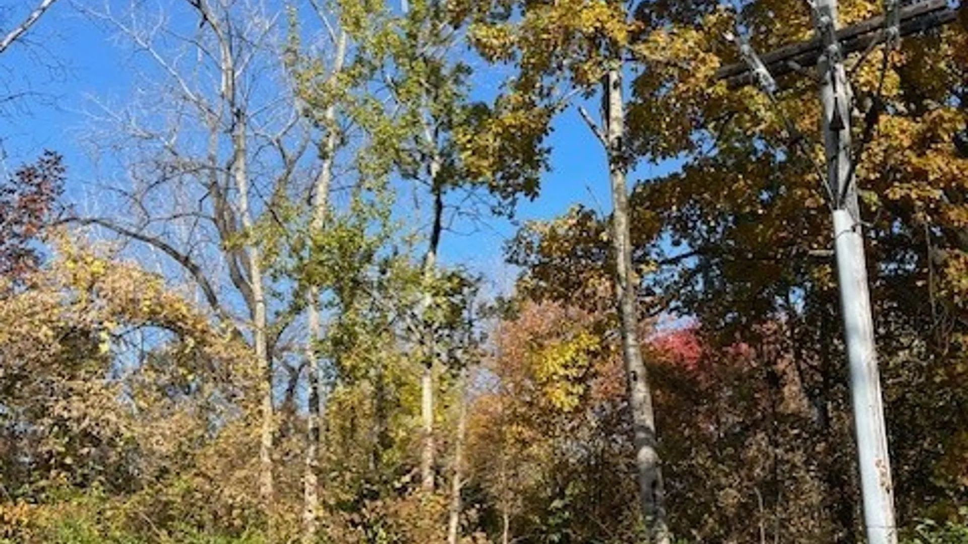 Property at 11th Street, Fulton, NY 13069 3