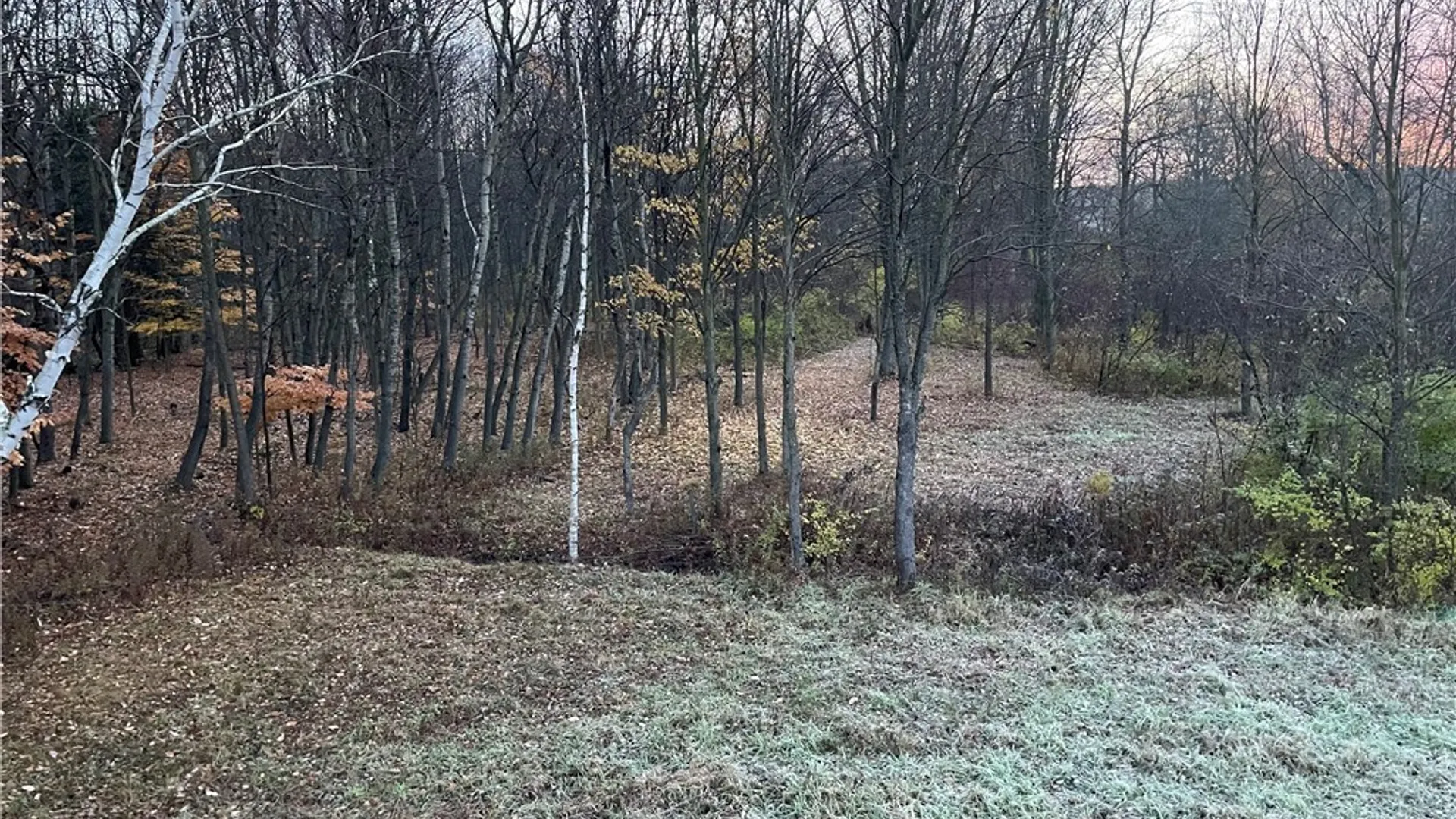 Property at 0 Bishop Street, Henderson, NY 13650 30
