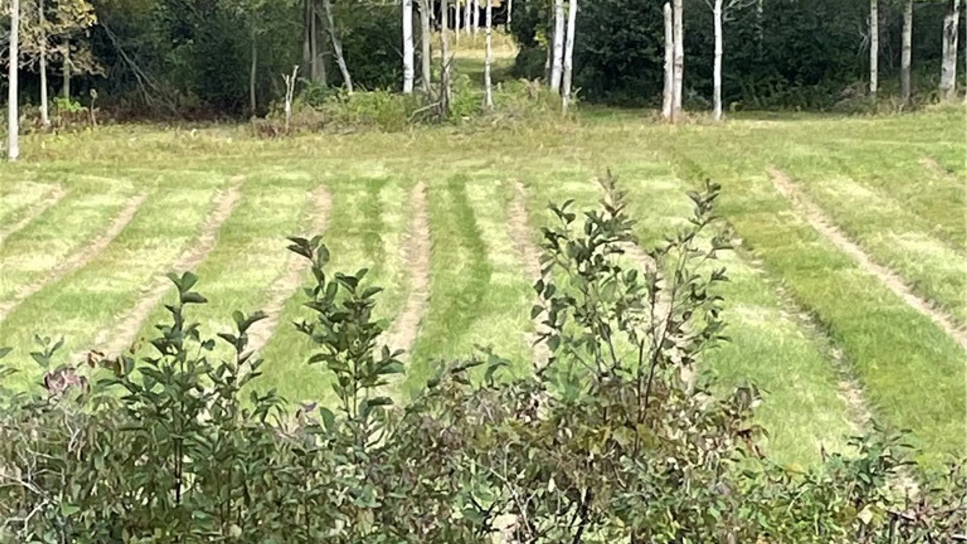 Property at 0 Bishop Street, Henderson, NY 13650 34