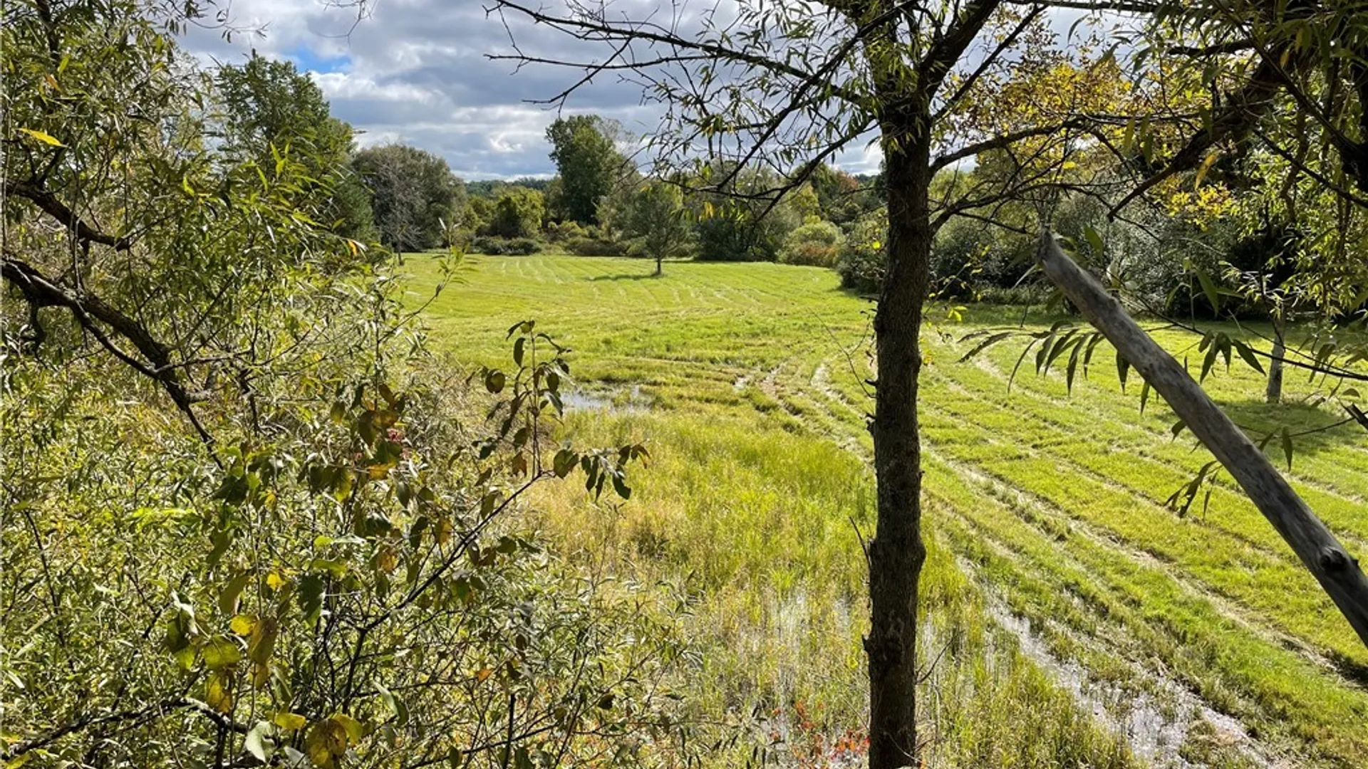 Property at 0 Bishop Street, Henderson, NY 13650 35