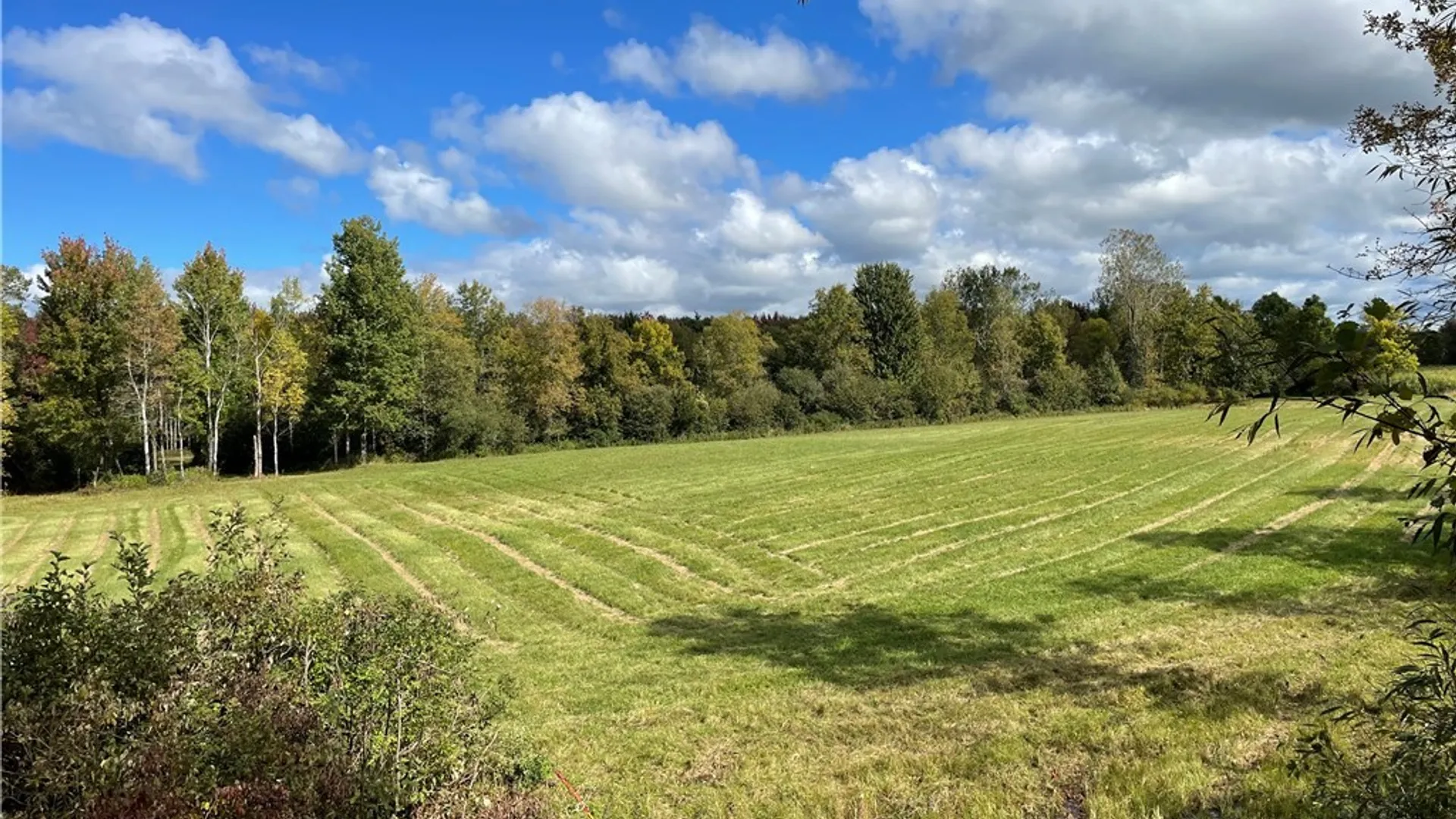 Property at 0 Bishop Street, Henderson, NY 13650 36