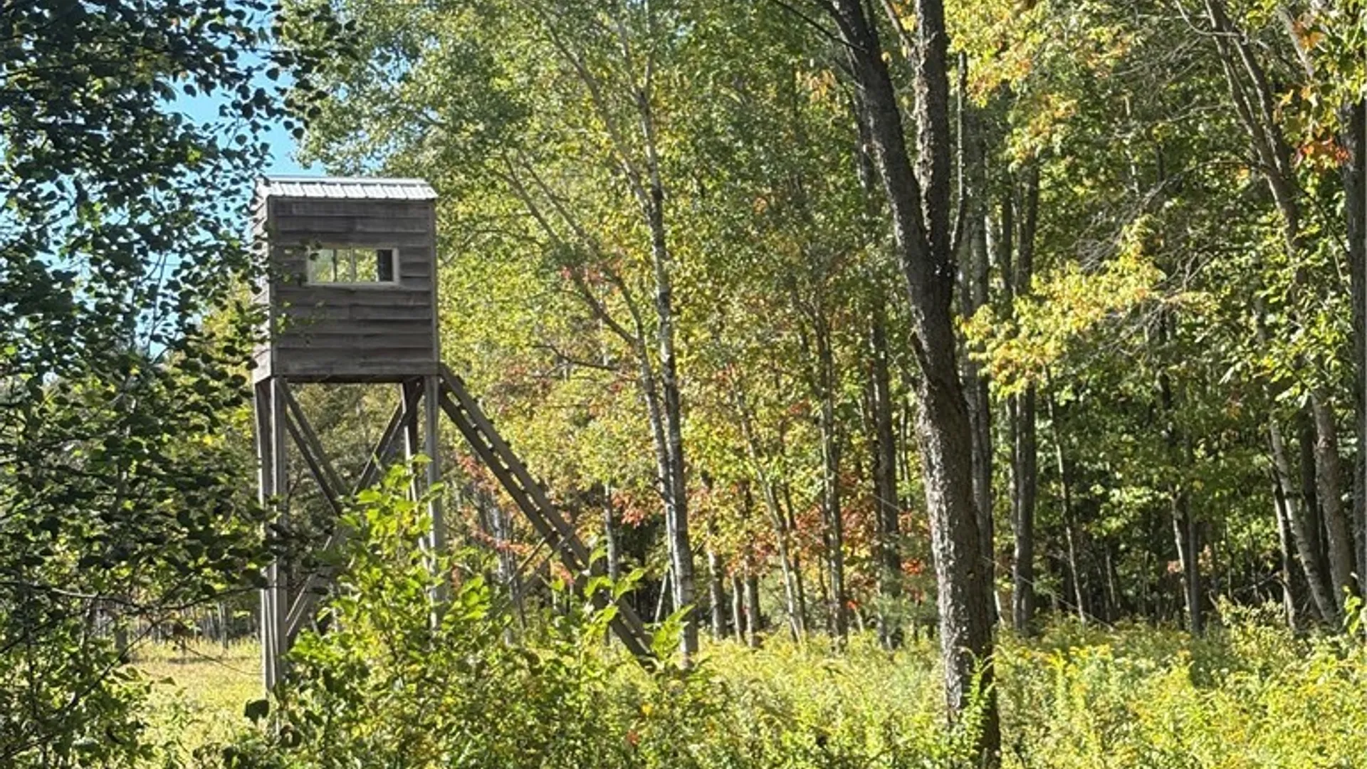 Property at 0 Bishop Street, Henderson, NY 13650 9