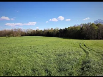 Property at Route 39, Collins, NY 14034