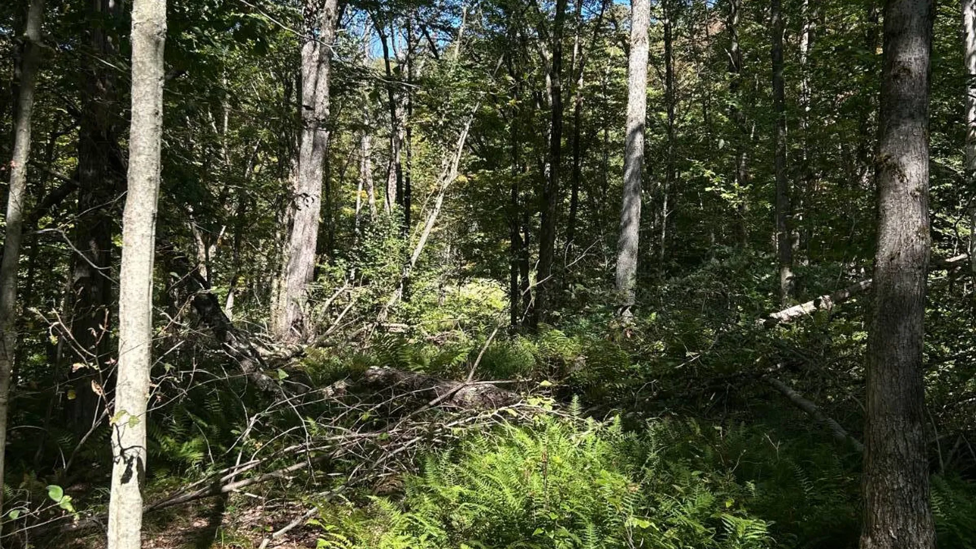 Property at 0 Hathaway Pond, Hancock, NY 13783 10