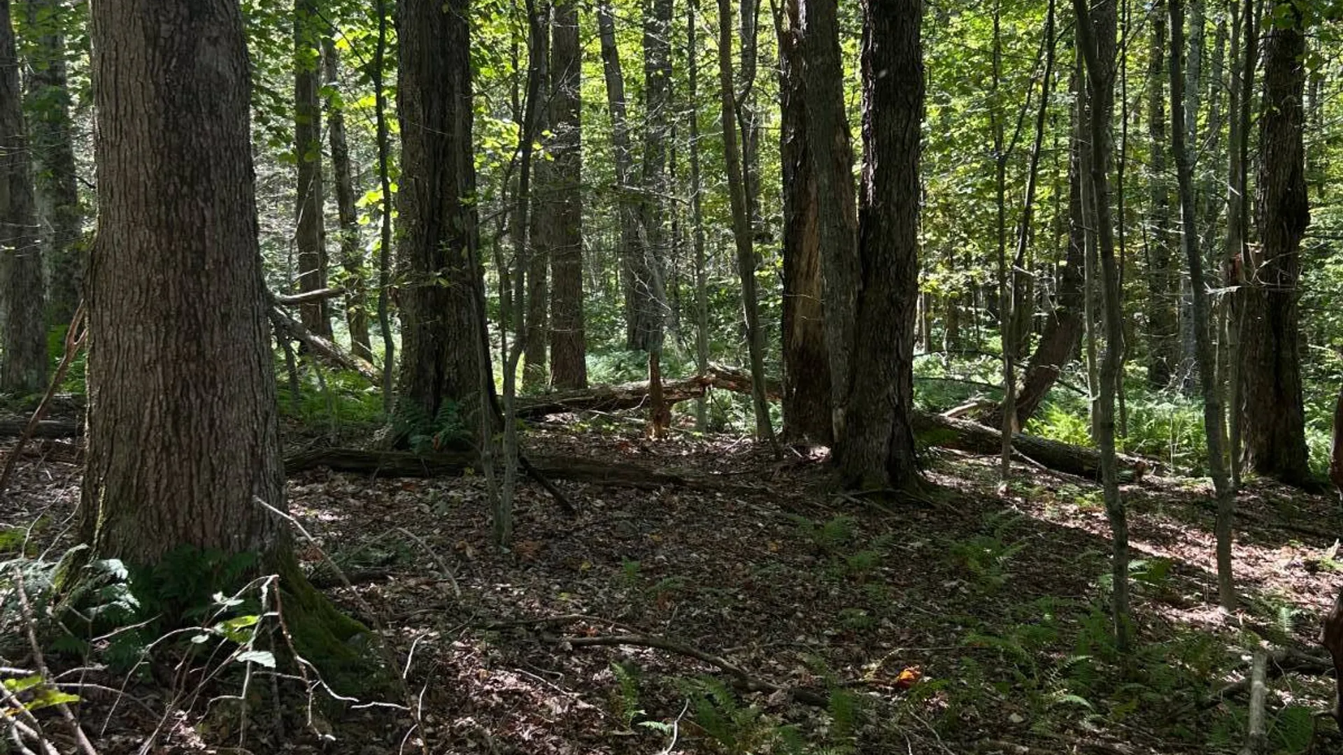 Property at 0 Hathaway Pond, Hancock, NY 13783 12