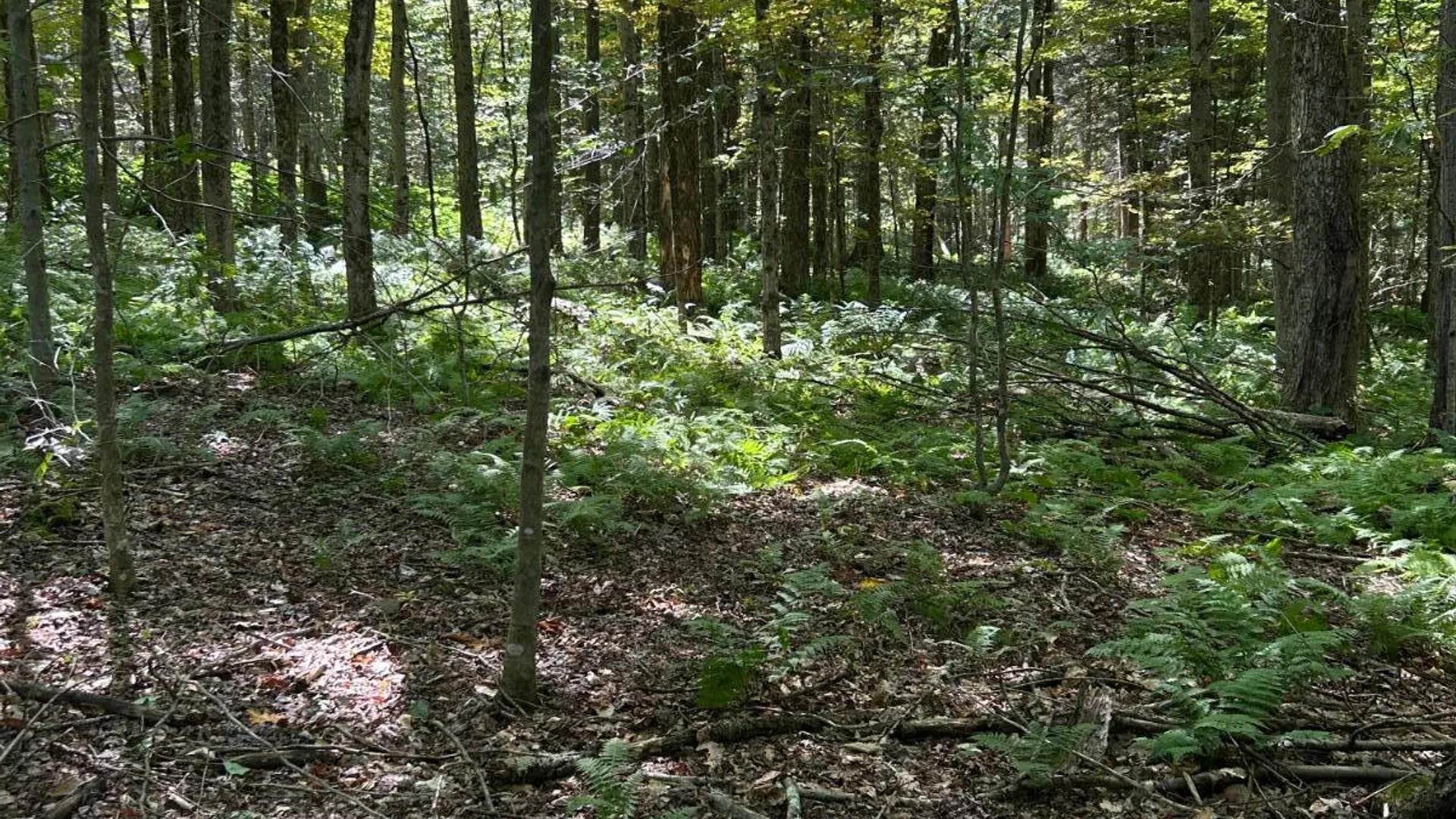 Property at 0 Hathaway Pond, Hancock, NY 13783 13