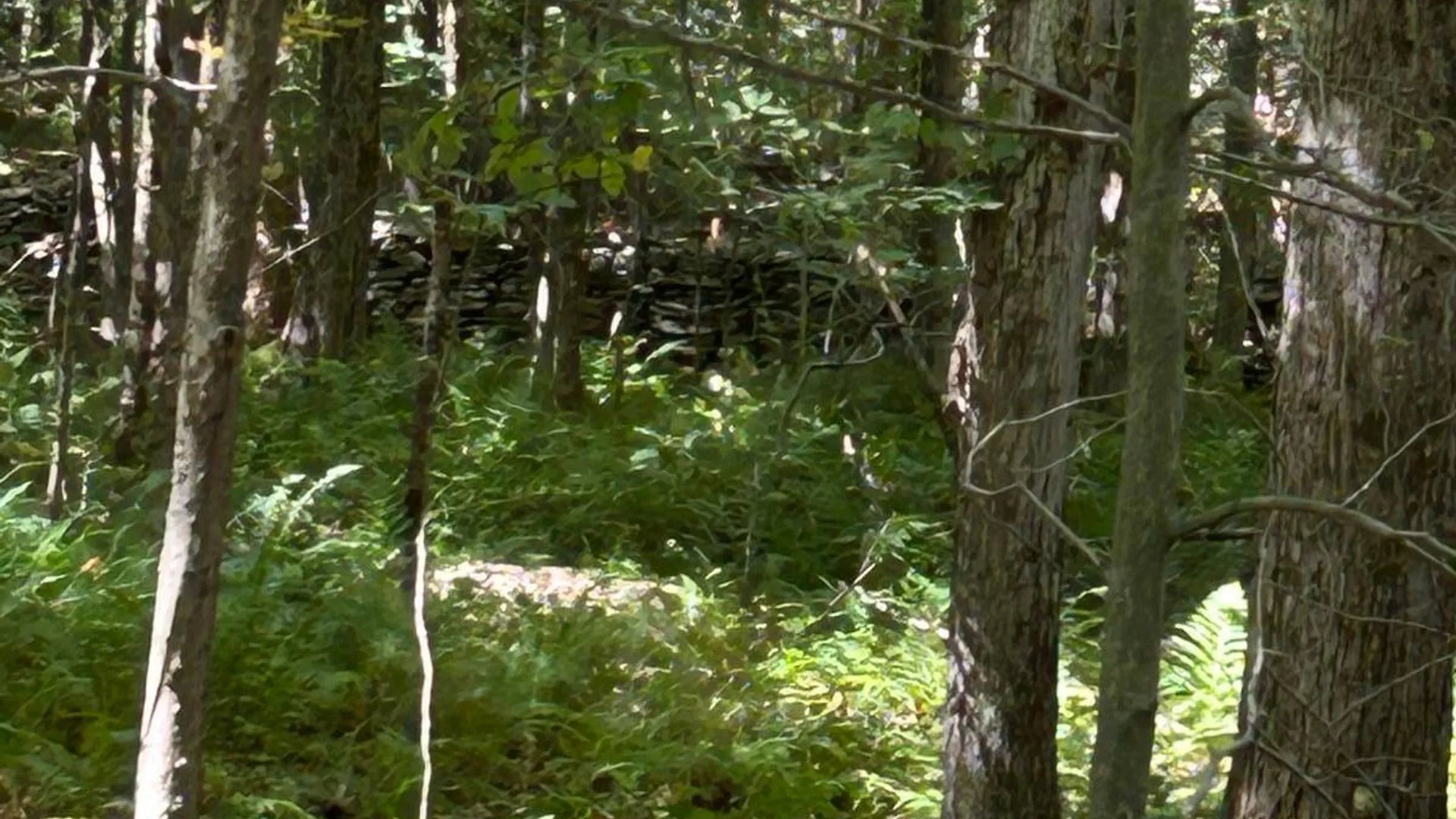 Property at 0 Hathaway Pond, Hancock, NY 13783 15