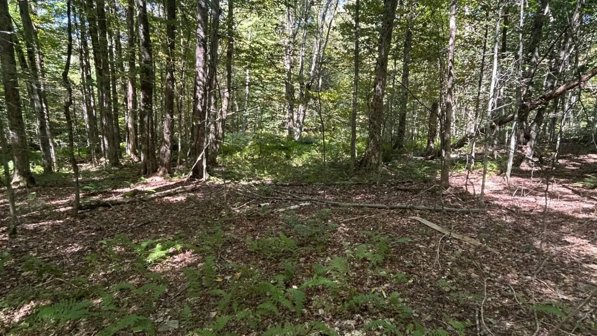 Property at 0 Hathaway Pond, Hancock, NY 13783 16