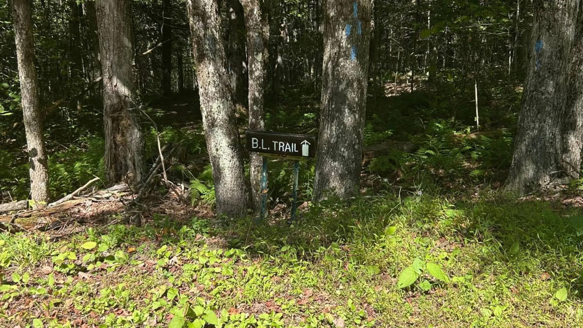 Property at 0 Hathaway Pond, Hancock, NY 13783 17