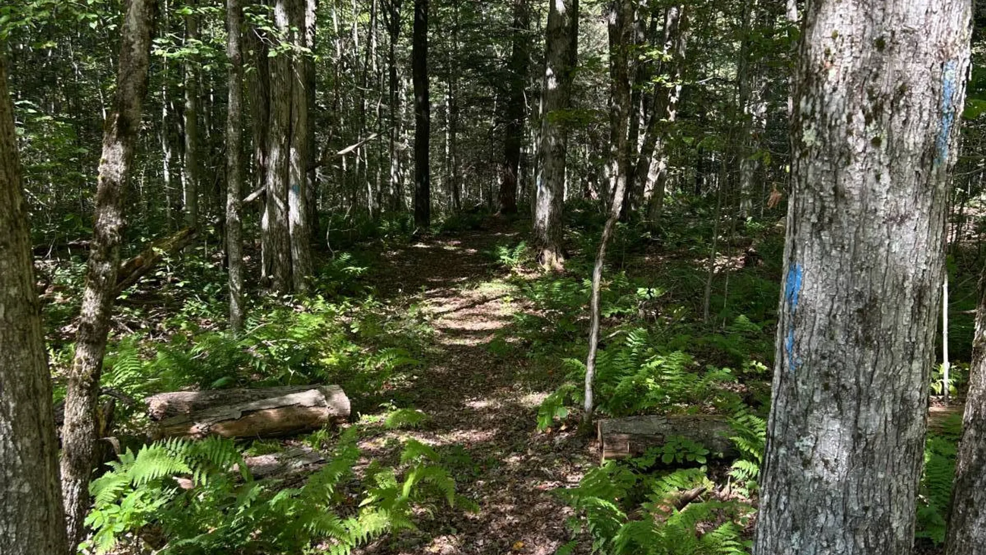 Property at 0 Hathaway Pond, Hancock, NY 13783 18