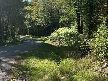 Property at 0 Hathaway Pond, Hancock, NY 13783