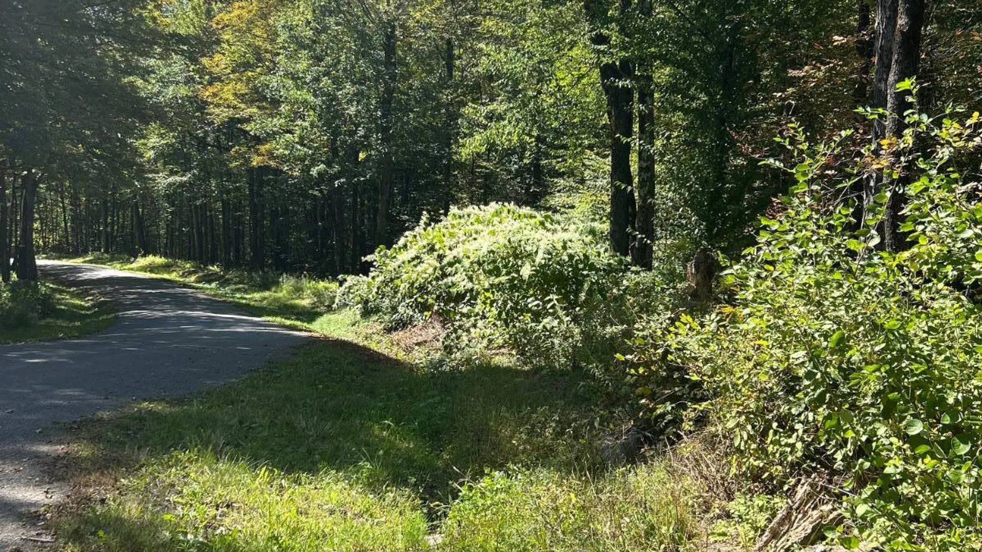 Property at 0 Hathaway Pond, Hancock, NY 13783 2