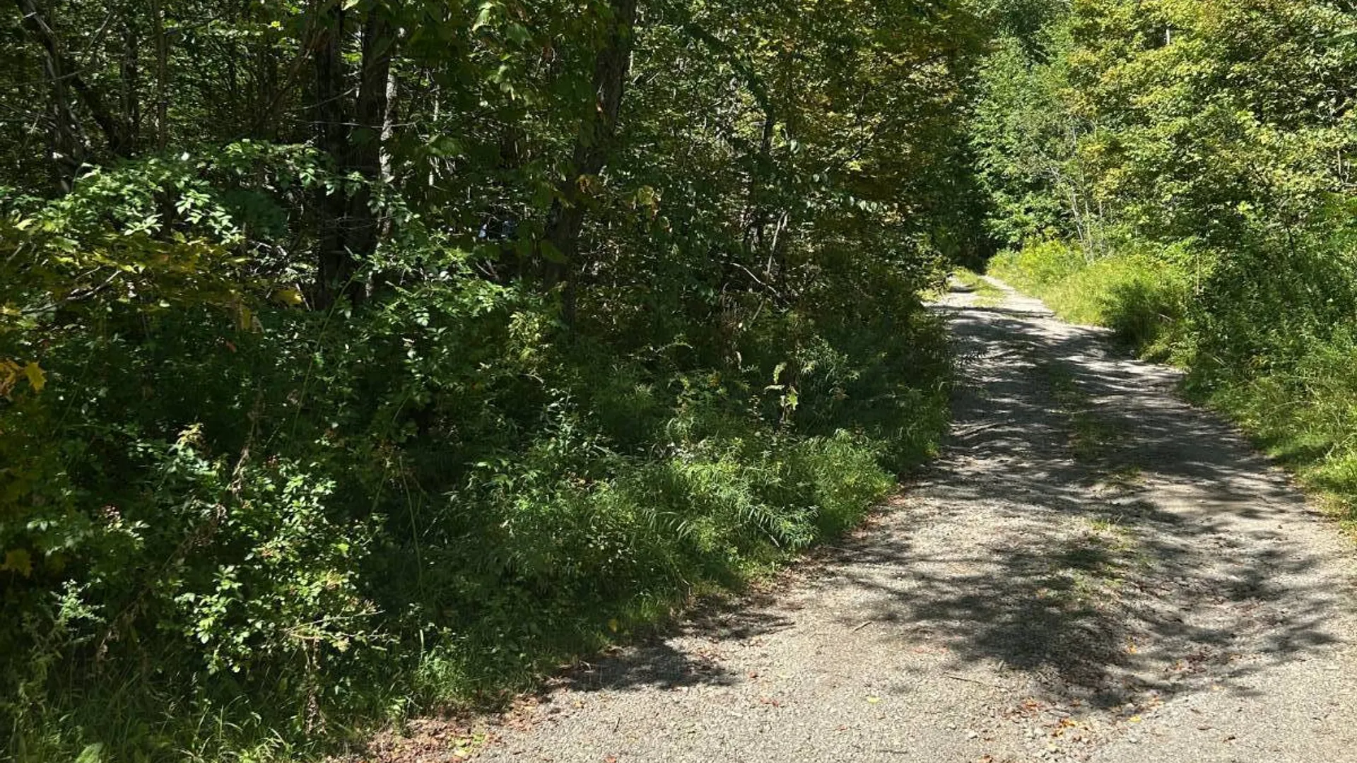 Property at 0 Hathaway Pond, Hancock, NY 13783 3