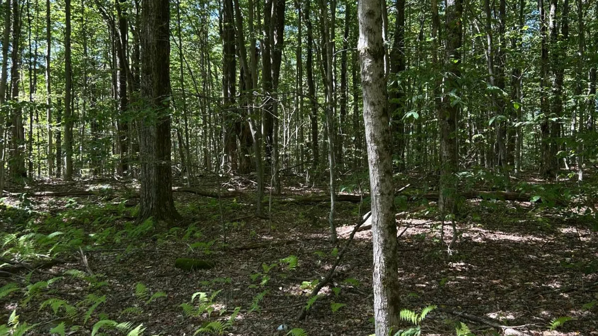 Property at 0 Hathaway Pond, Hancock, NY 13783 4