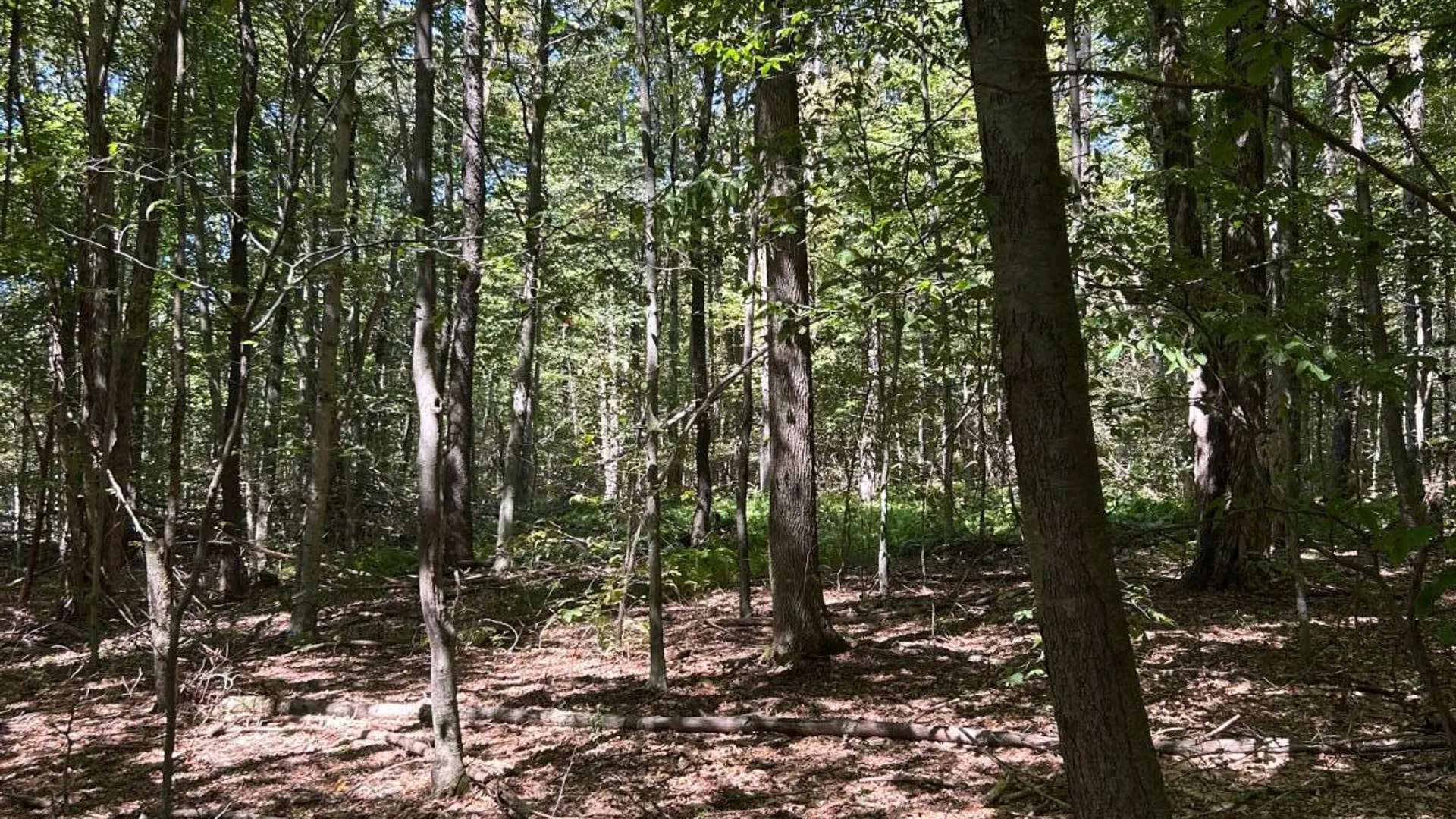 Property at 0 Hathaway Pond, Hancock, NY 13783 5