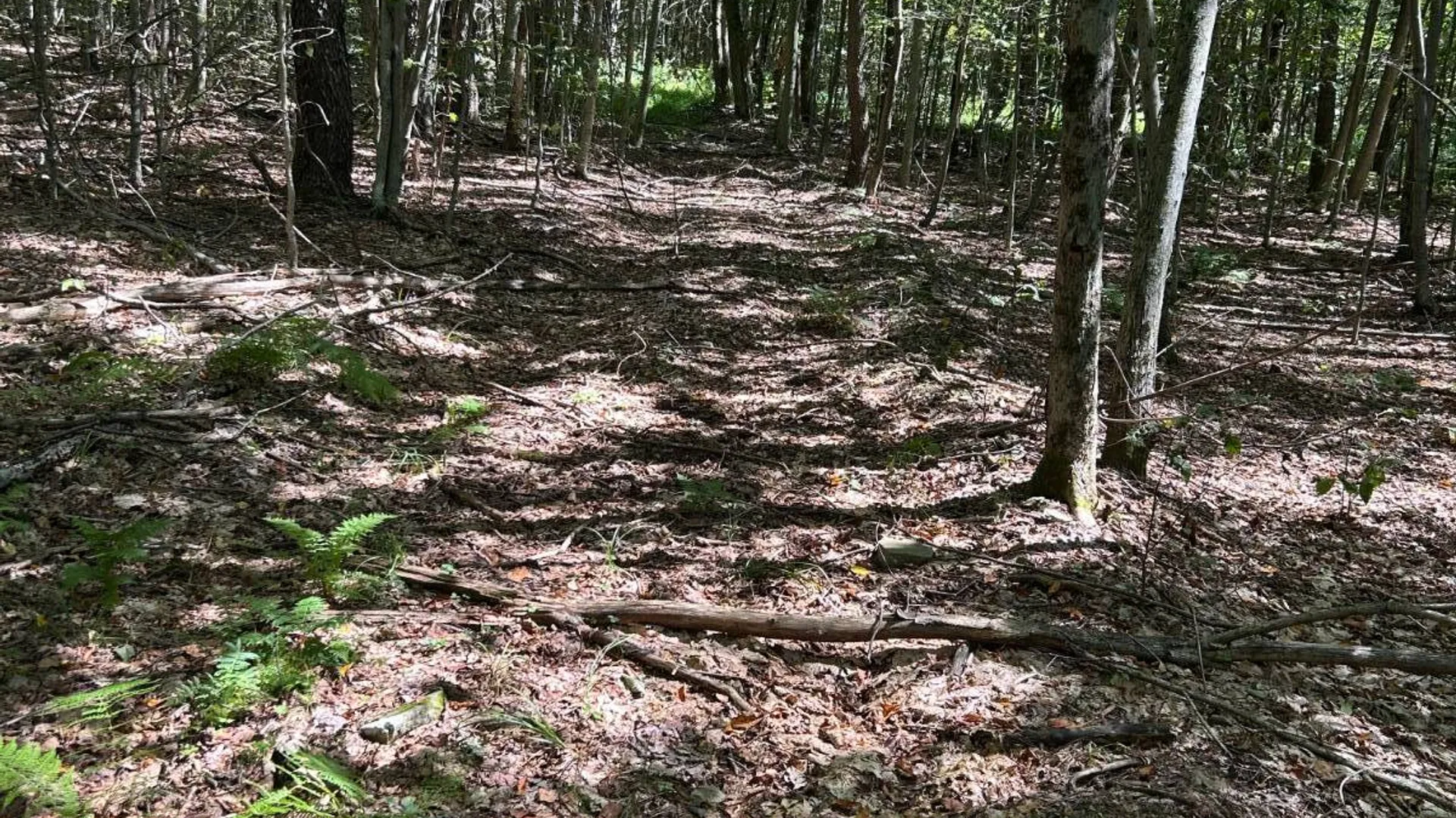 Property at 0 Hathaway Pond, Hancock, NY 13783 7