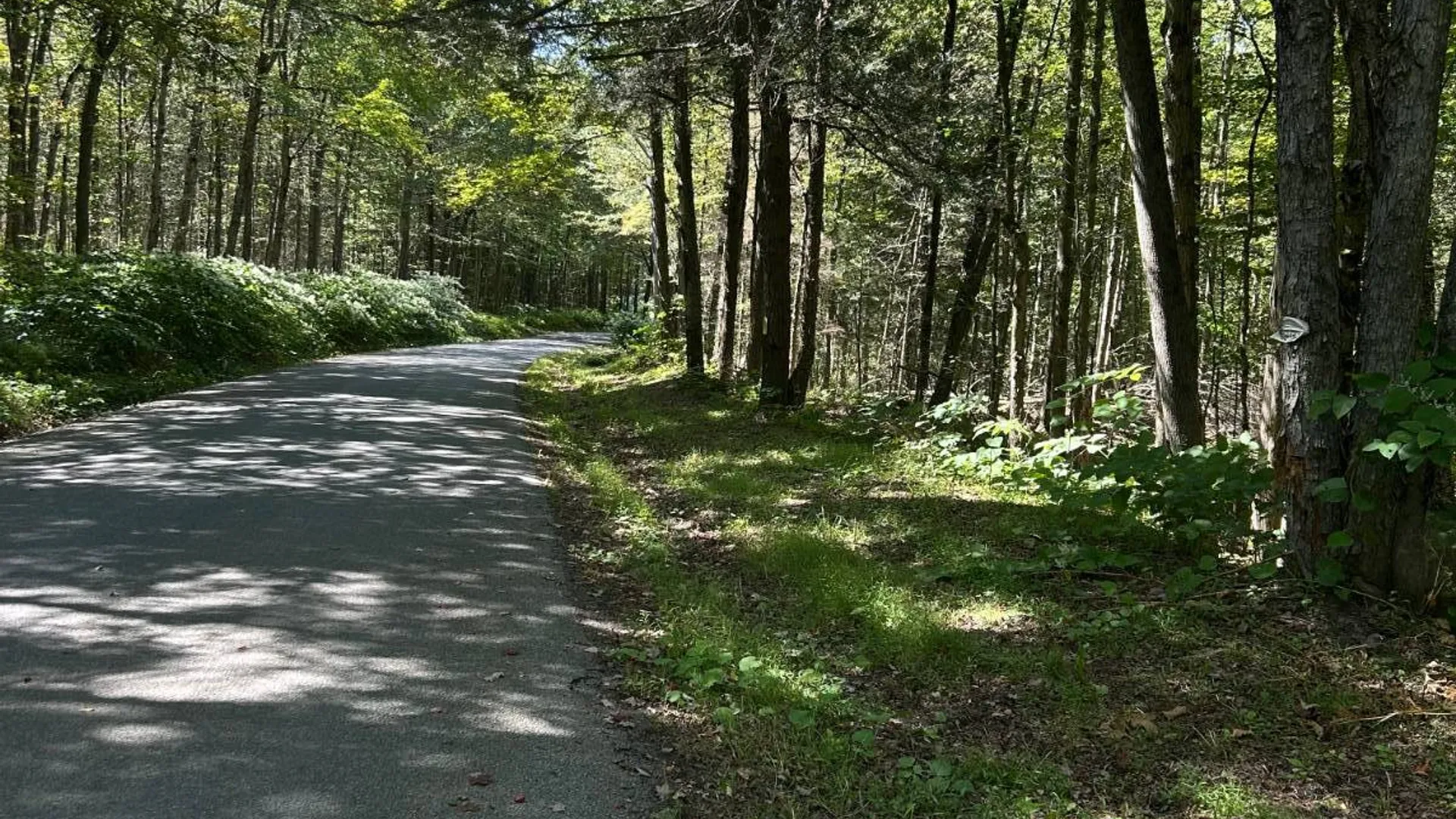 Property at 0 Hathaway Pond, Hancock, NY 13783 8