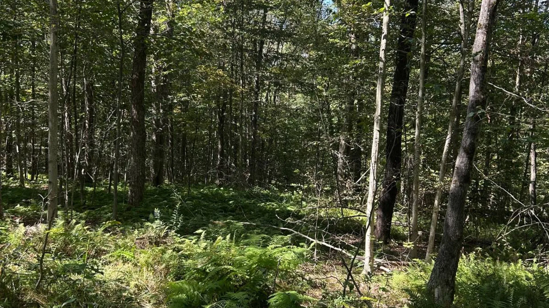 Property at 0 Hathaway Pond, Hancock, NY 13783 9