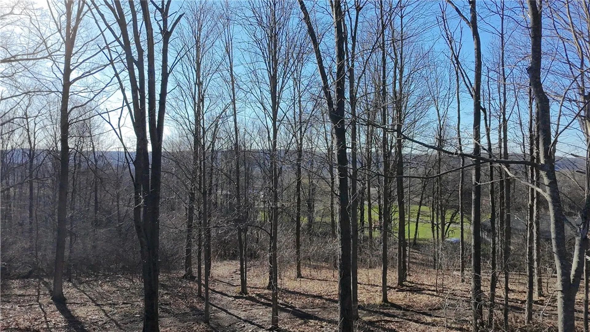 Property at 475 Kelly Hill Road, Orange, NY 14815 48