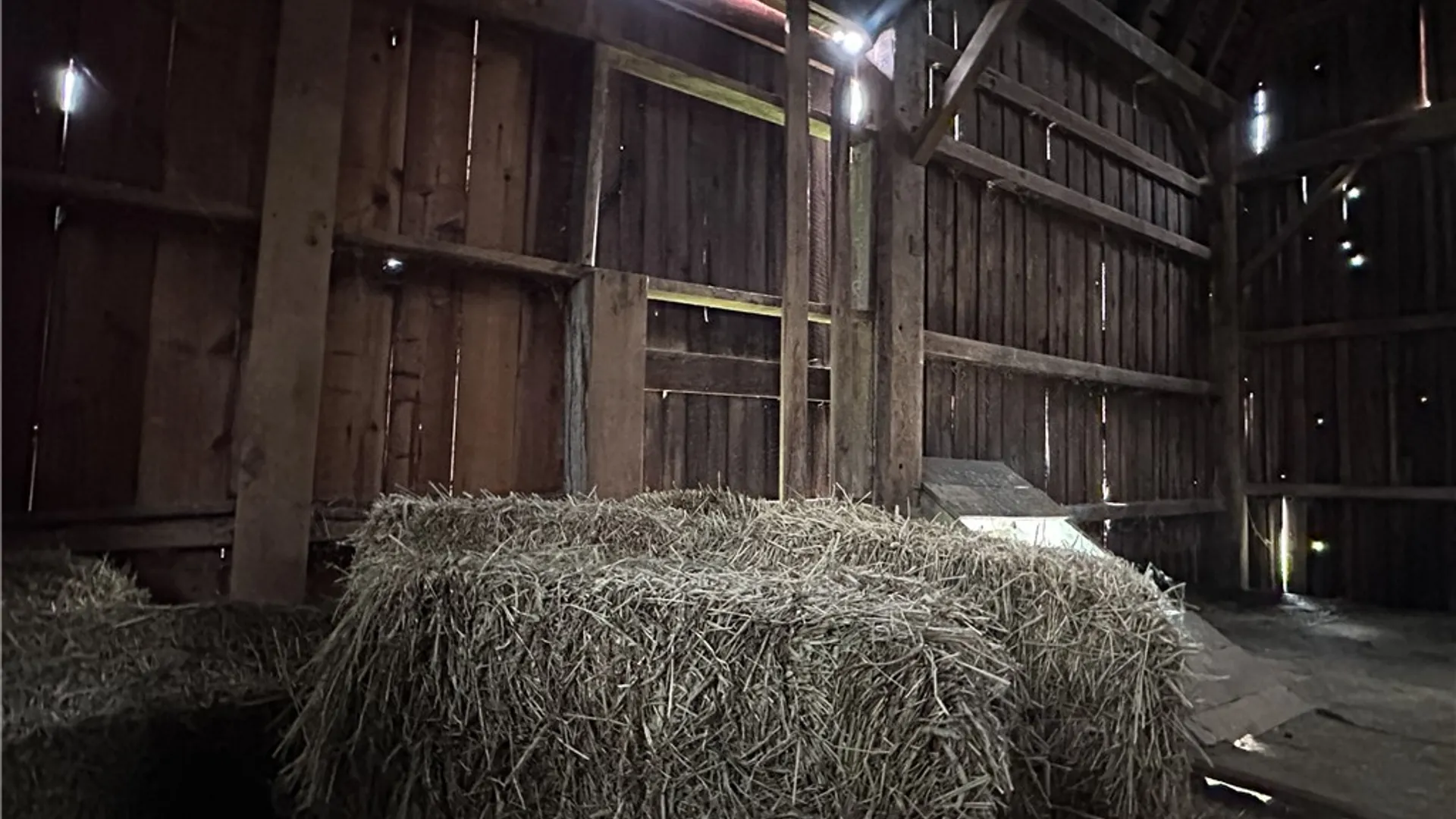 Property at 5764 Rees Road, Granger, NY 14735 42