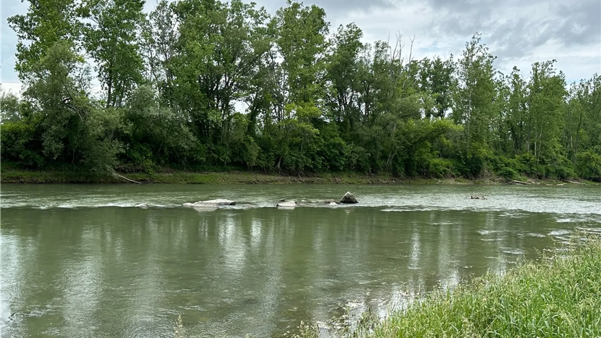 Property at 5764 Rees Road, Granger, NY 14735 45