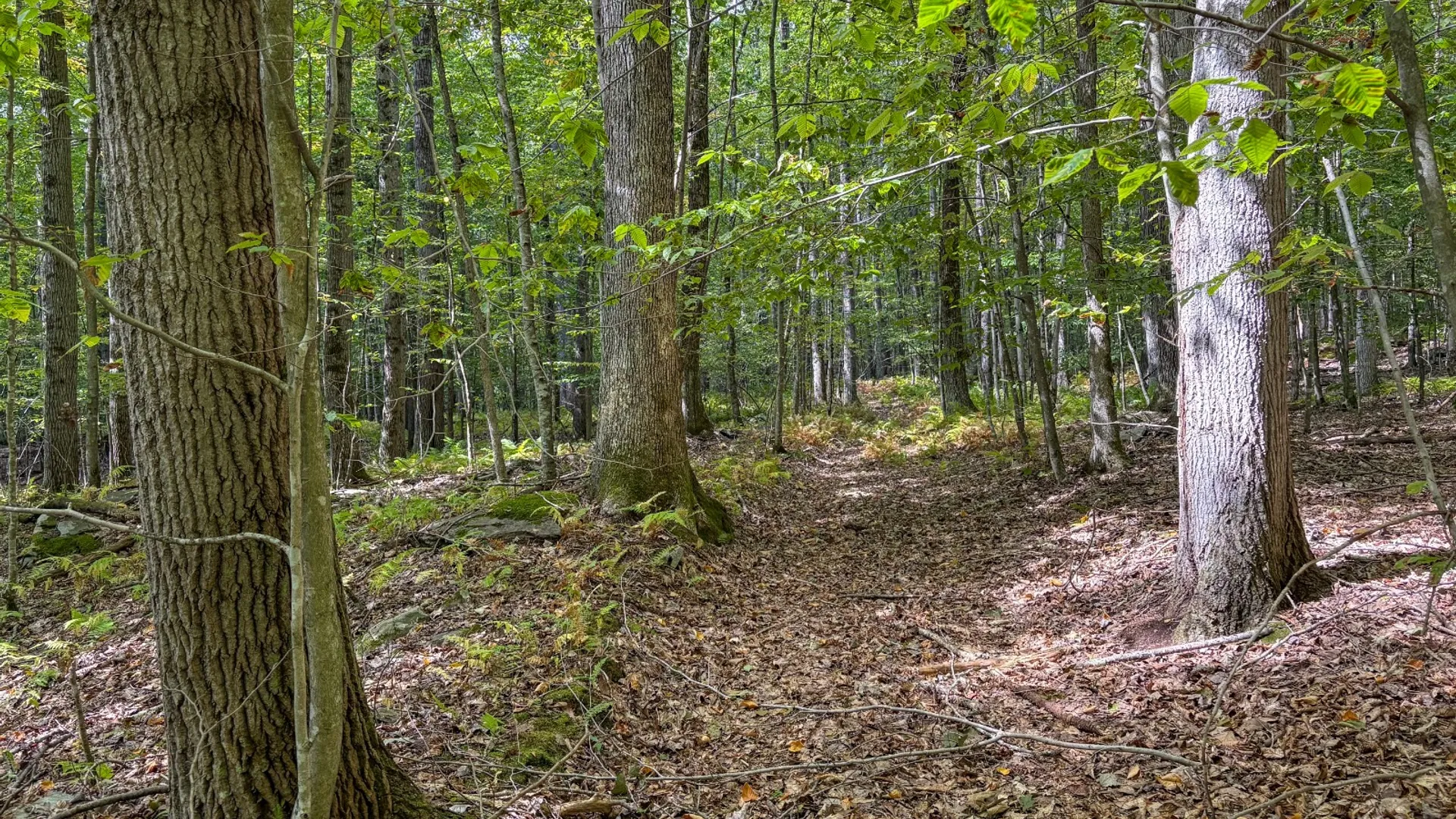 Property at 0 Warren Rd, Hancock, NY 13783 34