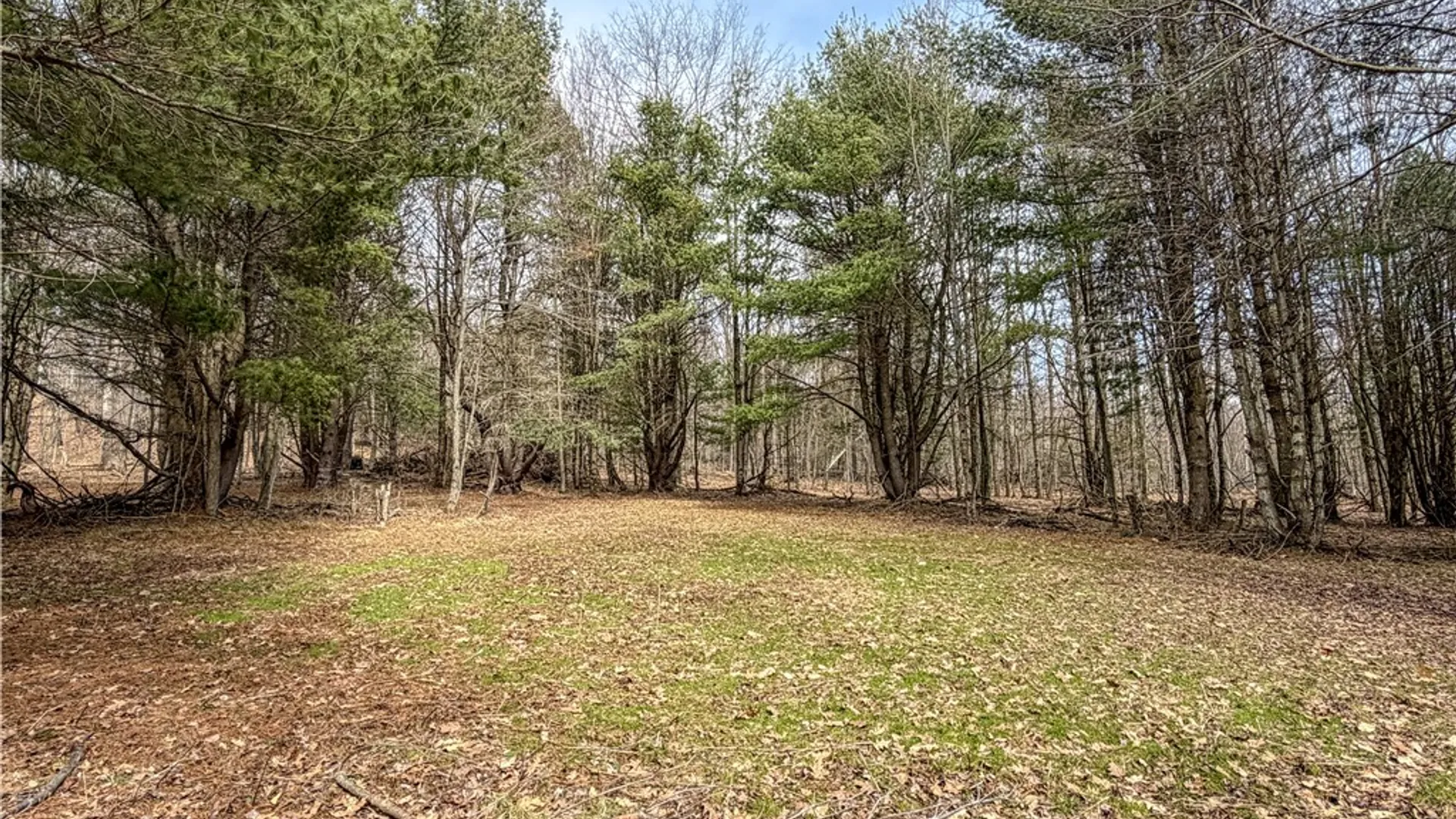 Property at 1953 Cemetery Hill Road, West Union, NY 14877 33