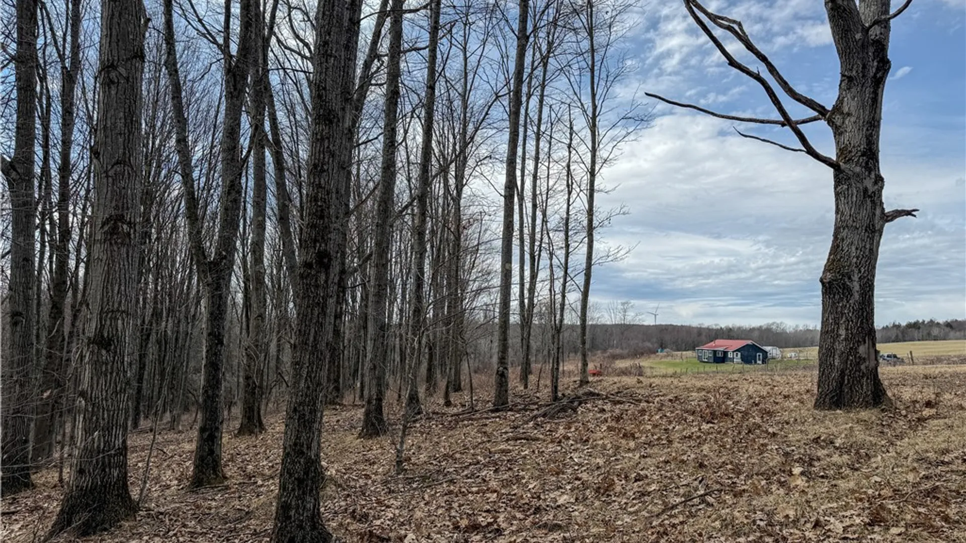 Property at 1953 Cemetery Hill Road, West Union, NY 14877 34