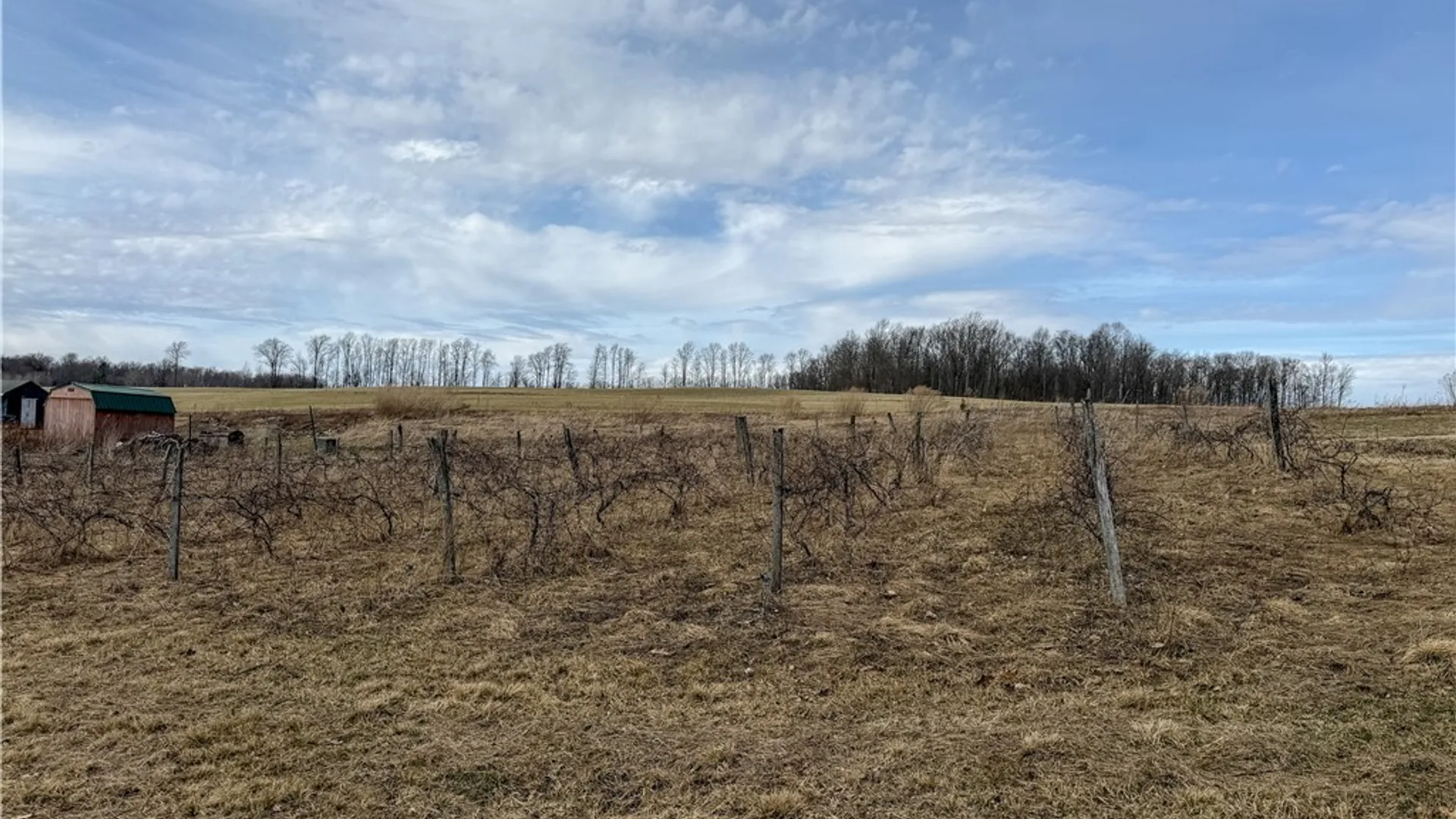 Property at 1953 Cemetery Hill Road, West Union, NY 14877 35