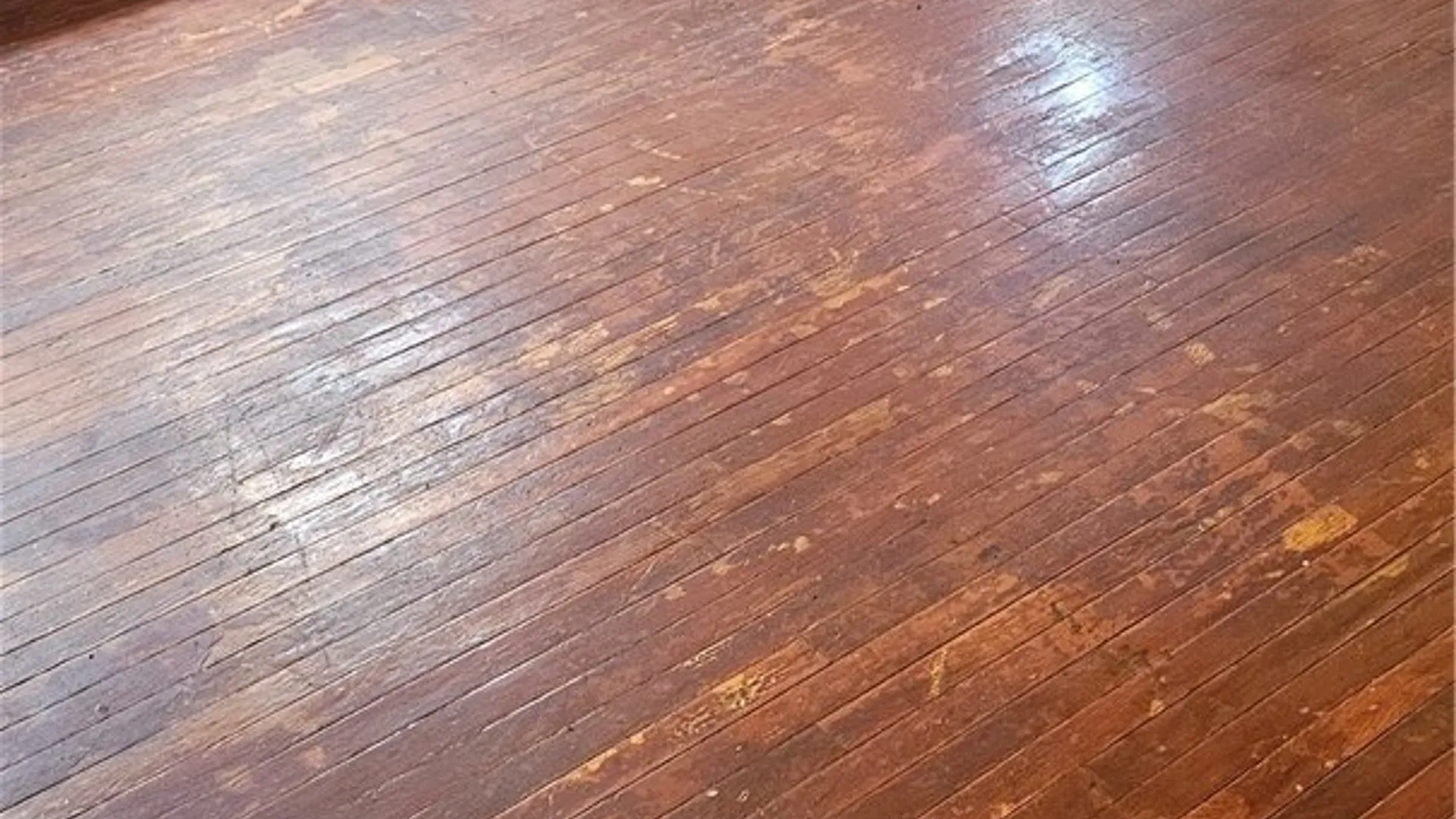 Property at 144 Dickinson St, Rochester, NY 14621 2