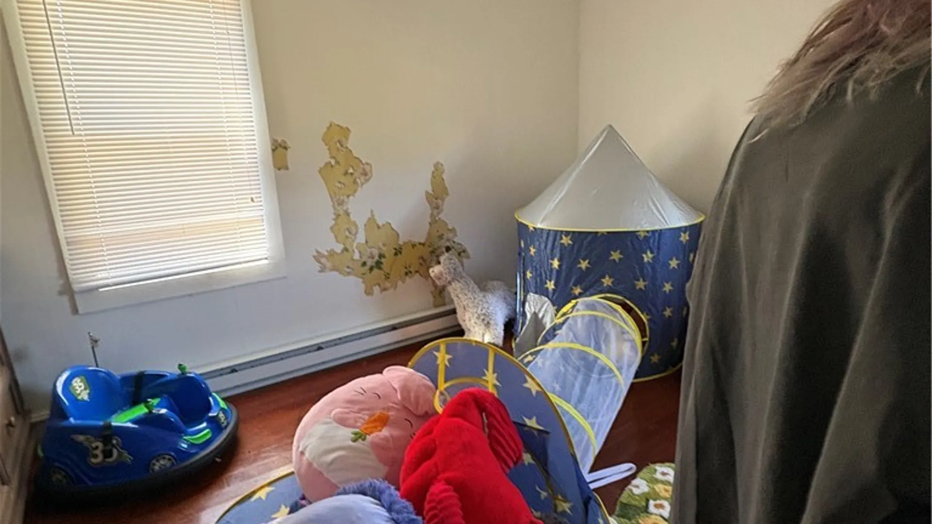 Property at 1398 Covered Bridge Road, Sidney, NY 13849 15