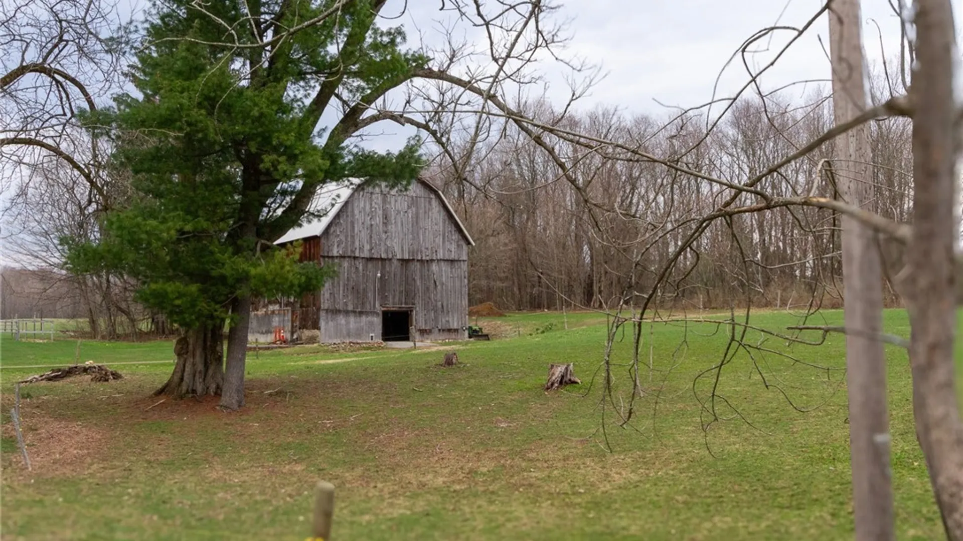 Property at 10880 Matteson Corners Road, Sardinia, NY 14080 18