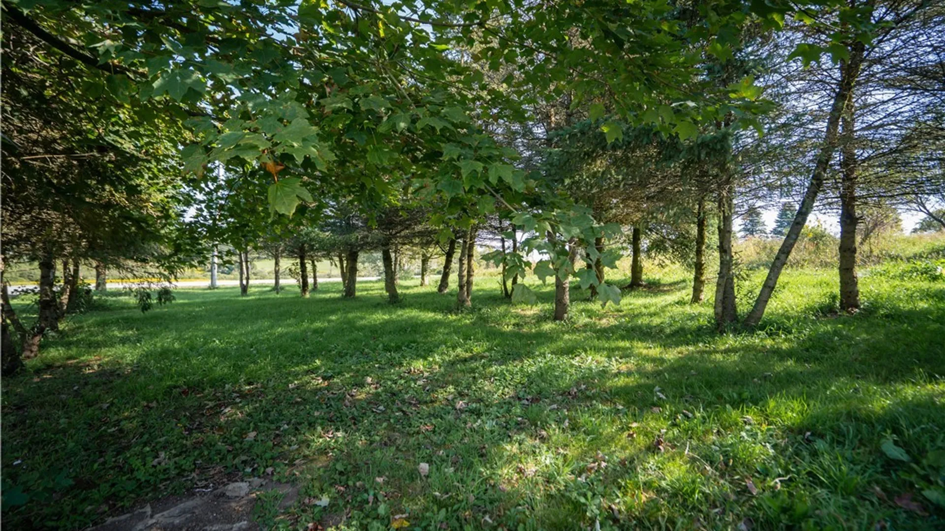 Property at 1352 State Route 29, Fairfield, NY 13365 33