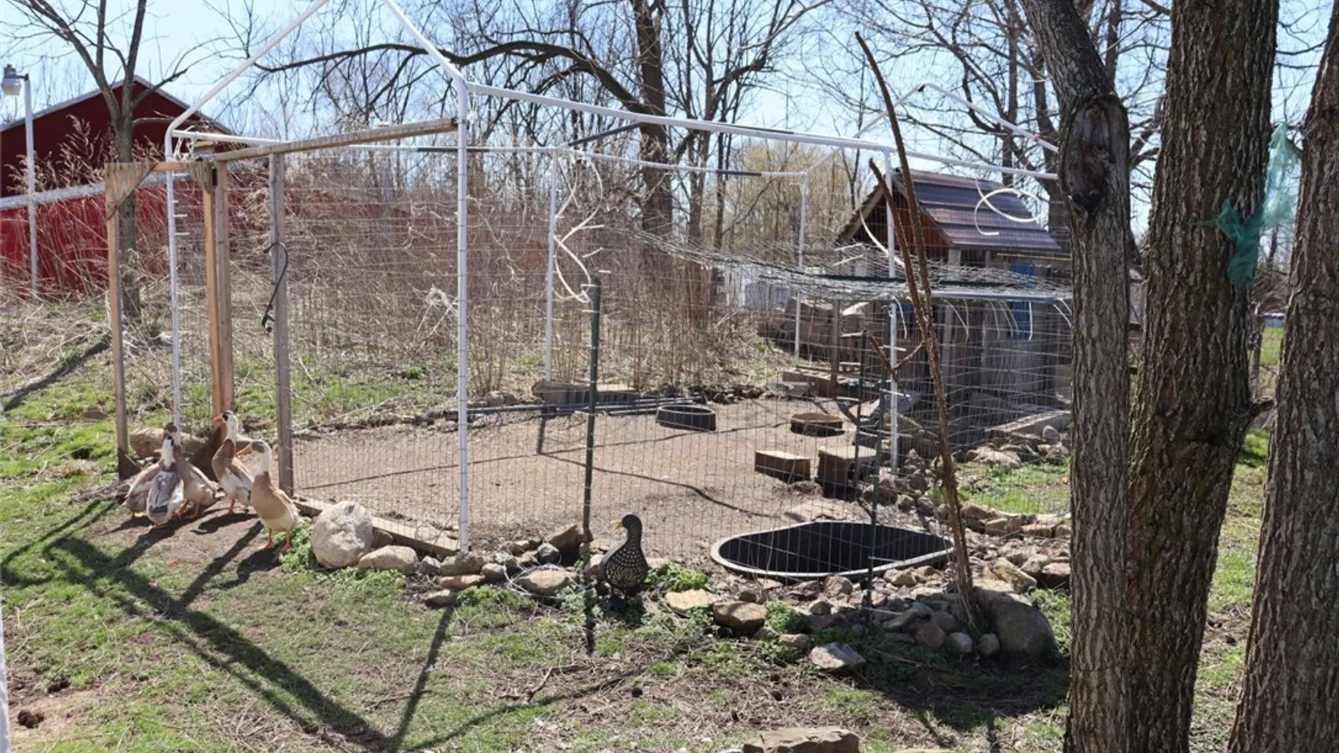 Property at 6285 Cook Road, Byron, NY 14422 10