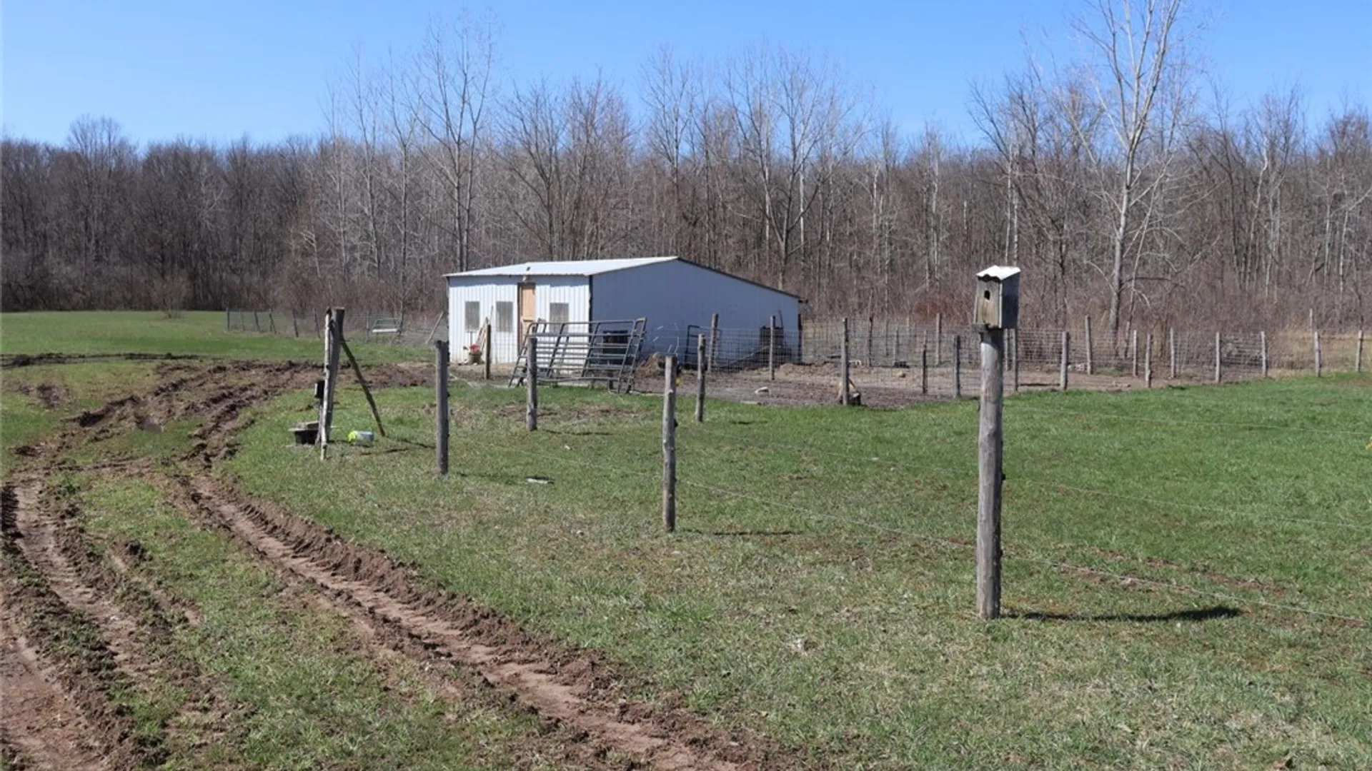 Property at 6285 Cook Road, Byron, NY 14422 8