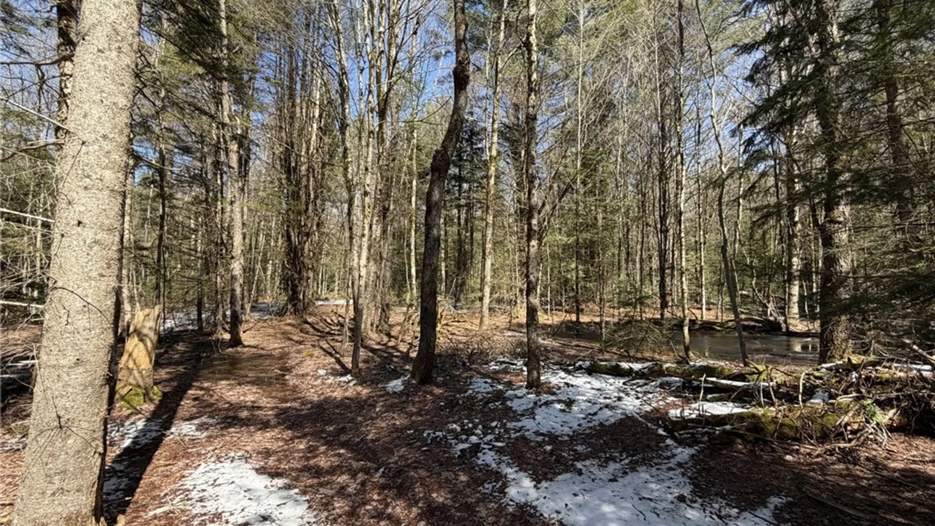 Property at 534 Avery Road, Stratford, NY 13470 5