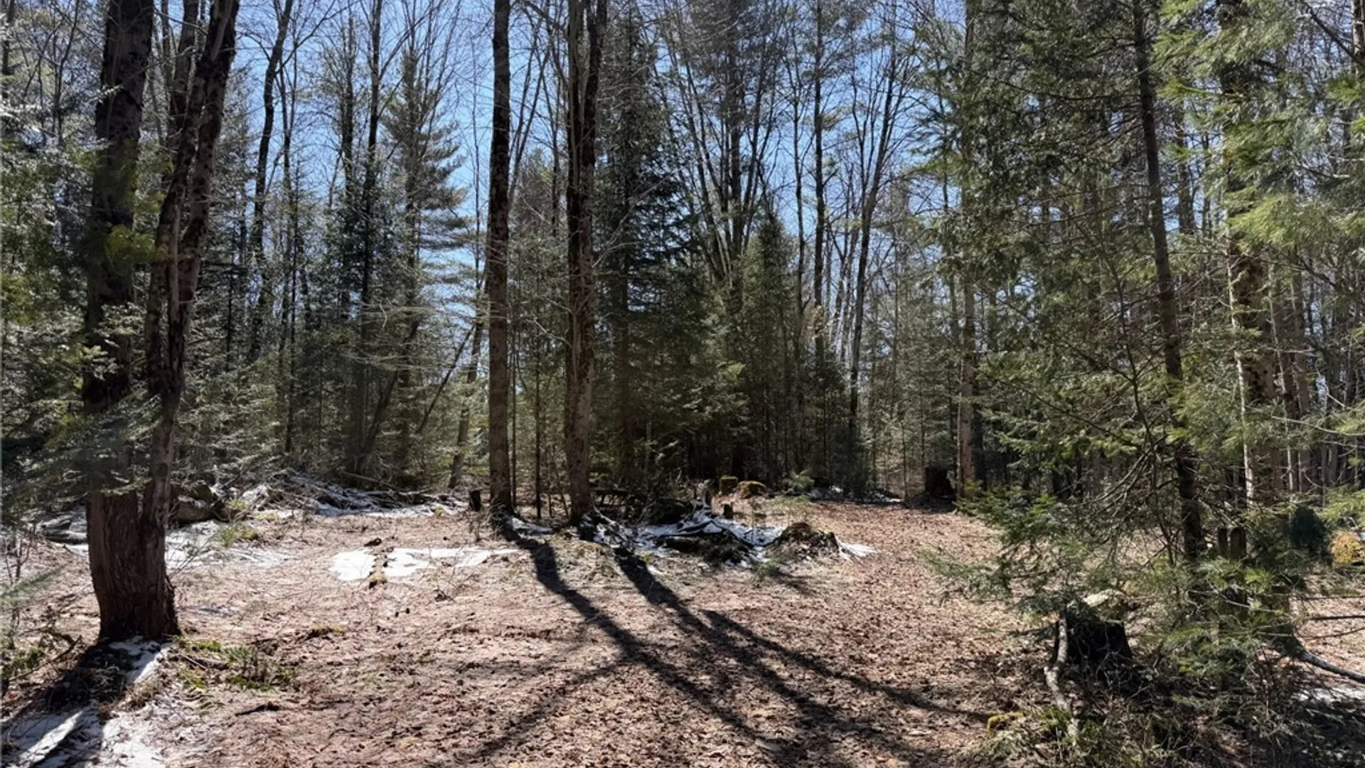 Property at 534 Avery Road, Stratford, NY 13470 6