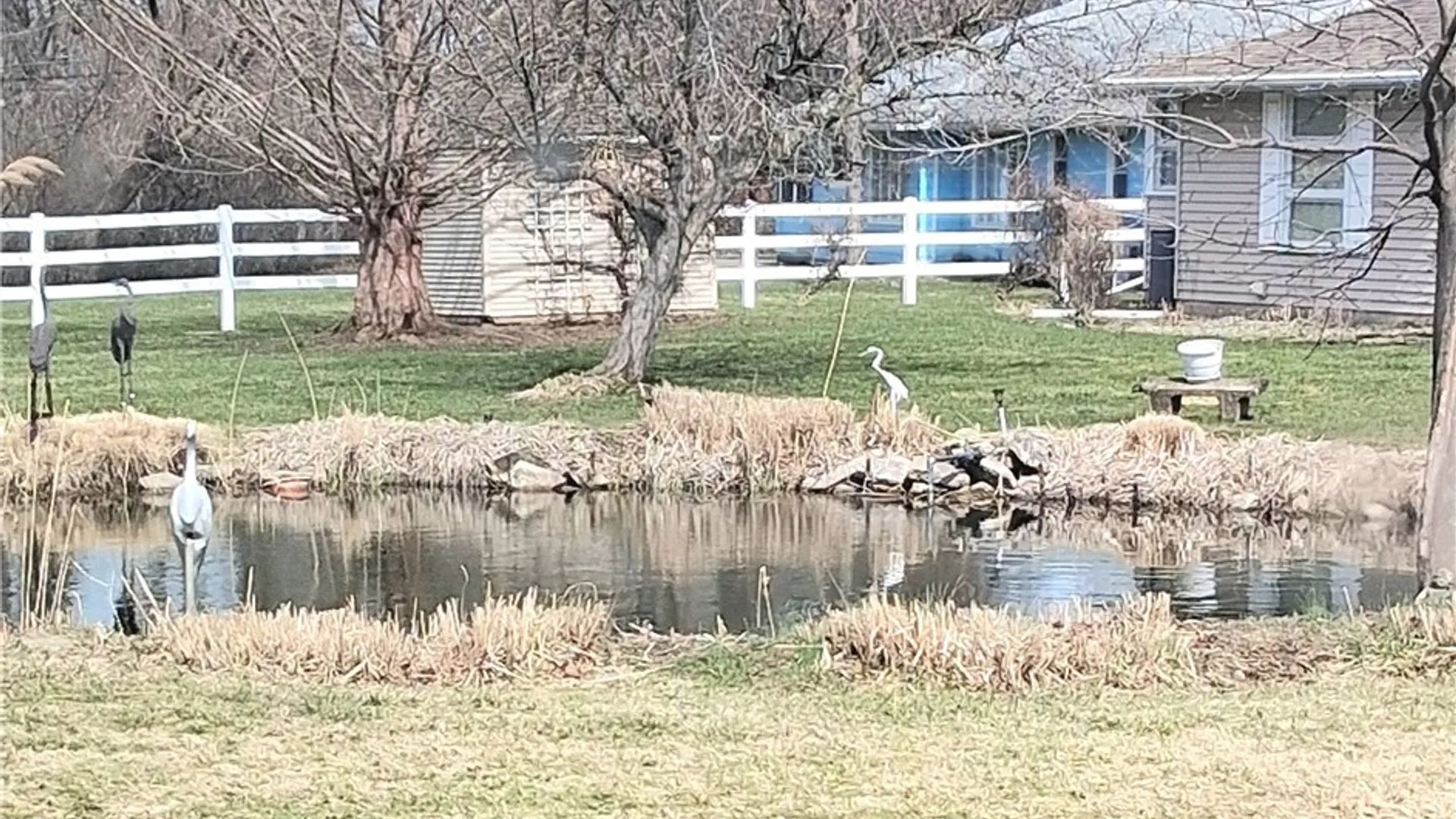 Property at 120 Westchester Road, Amherst, NY 14221 20