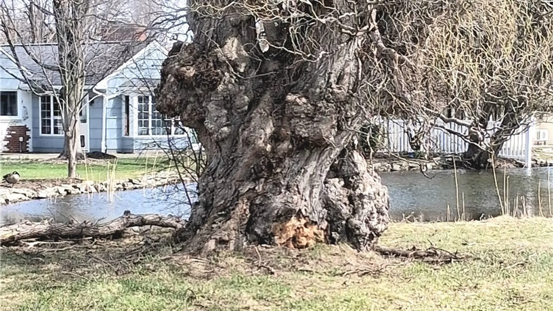 Property at 120 Westchester Road, Amherst, NY 14221 21