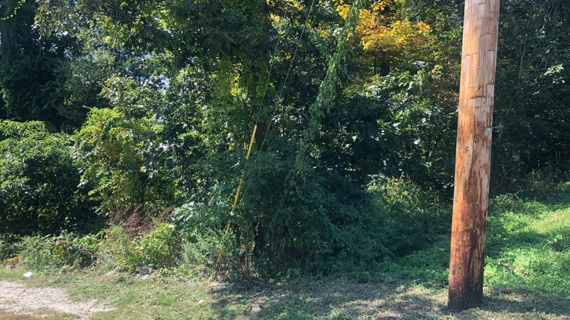 Property at 56 Empire Dr, Patterson, NY 12563 2